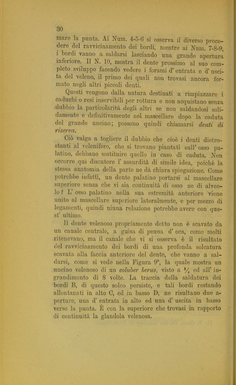 mare la punta. Ai Num. 4-5-6 si osserva il diverso proce- dere del ravvicinamento dei bordi, mentre ai Num. 7-8-9, i bordi vanno a saldarsi lasciando una grande apertura inferiore. 11 N. 10, mostra il dente prossimo al suo com- pleto sviluppo facendo vedere i forami d’ entrata e d’ usci- ta del veleno, il primo dei quali non trovasi ancora for- mato negli altri piccoli denti. Questi vengono dalla natura destinati a rimpiazzare i caduchi o resi inservibili per rottura e non acquistano senza dubbio la particolarità degli altri se non saldandosi soli- damente e definitivamente nel mascellare dopo la caduta del grande uncino; possono quindi chiamarsi denti di riserva. Ciò valga a togliere il dubbio che cioè i denti dietro- stanti al velenifero, che si trovano piantati sull* osso pa- latino, debbano sostituire quello in caso di caduta. Non occorre qui discutere 1’ assurdità di simile idea, poiché la stessa anatomia della parte ne dà chiara spiegazione. Come potrebbe infatti, un dente palatino portarsi al mascellare superiore senza che vi sia continuità di osso ne di alveo- lo ? L osso palatino nella sua estremità anteriore viene unito al mascellare superiore lateralmente, e per mezzo di legamenti, quindi niuna relazione potrebbe avere con que- st’ ultimo. Il dente velenoso propriamente detto non è scavato da un canale centrale, a guisa di penna d’ oca, come molti ritenevano, ma il canale che vi si osserva è il risultato del ravvicinamento dei bordi di una profonda solcatura scavata alla faccia anteriore del dente, che vanno a sal- darsi, come si vede nella Figura 9a, la quale mostra un uncino velenoso di un coluber berus, visto a 3/4 ed all’ in- grandimento di 8 volte. La traccia della saldatura dei bordi B, di questo solco persiste, e tali bordi restando allontanati in alto C, ed in basso D, ne risultano due a- perture, una d’ entrata in alto ed una d’ uscita in basso verso la punta. E con la superiore che trovasi in rapporto di continuità la glandola velenosa.
