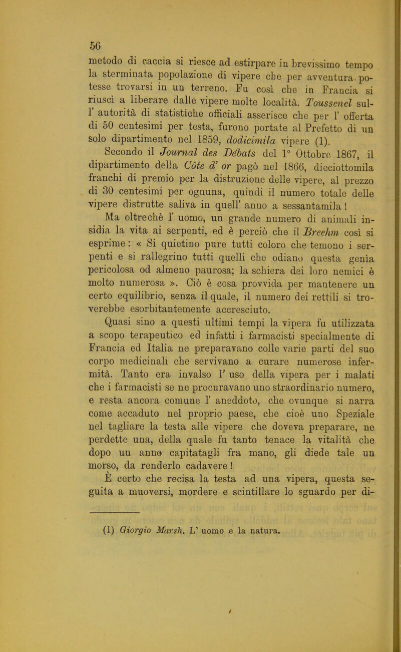 metodo di caccia si riesce ad estirpare in brevissimo tempo la sterminata popolazione di vipere che per avventura, po- tesse trovarsi in un terreno. Fu cosi che in Francia si riuscì a liberare dalle vipere molte località. Toussenel sul- 1 autorità di statistiche officiali asserisce che per 1’ offerta di 50 centesimi per testa, furono portate al Prefetto di un solo dipartimento nel 1859, dodicimila vipere (1). Secondo il Journal des Débats del 1° Ottobre 1867, il dipartimento della Còte d’ or pagò nel 1866, dieciottomila franchi di premio per la distruzione delle vipere, al prezzo di 30 centesimi per oguuna, quindi il numero totale delle vipere distrutte saliva in quell’ anno a sessantamila ! Ma oltreché 1’ uomo, un grande numero di animali in- sidia la vita ai serpenti, ed è perciò che il JBreehm così si esprime : « Si quietino pure tutti coloro che temono i ser- penti e si rallegrino tutti quelli che odiano questa genìa pericolosa od almeno paurosa; la schiera dei loro nemici è molto numerosa ». Ciò è cosa provvida per mantenere un certo equilibrio, senza il quale, il numero dei rettili si tro- verebbe esorbitantemente accresciuto. Quasi sino a questi ultimi tempi la vipera fu utilizzata a scopo terapeutico ed infatti i farmacisti specialmente di Francia ed Italia ne preparavano colle varie parti del suo corpo medicinali che servivano a curare numerose infer- mità. Tanto era invalso Y uso della vipera per i malati che i farmacisti se ne procuravano uno straordinario numero, e resta ancora comune 1’ aneddoto, che ovunque si narra come accaduto nel proprio paese, che cioè uno Speziale nel tagliare la testa alle vipere che doveva preparare, ne perdette una, della quale fu tanto tenace la vitalità che dopo un anno capitatagli fra mano, gli diede tale un morso, da renderlo cadavere ! E certo che recisa la testa ad una vipera, questa se- guita a muoversi, mordere e scintillare lo sguardo per di- (1) Giorgio Marsh. L’ uomo e la natura.