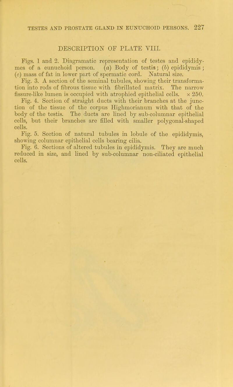 DESCRIPTION OF PLATE VIII. Figs. 1 and 2. Diagramatic representation of testes and epididy- mes of a eunuchoid person. (a) Body of testis; (b) epididymis ; (c) mass of fat in lower part of spermatic cord. Natural size. Fig. 3. A section of the seminal tubules, showing their transforma- tion into rods of fibrous tissue with fibrillated matrix. The narrow fissure-like lumen is occupied with atrophied epithelial cells, x 250. Fig. 4. Section of straight ducts with their branches at the junc- tion of the tissue of the corpus Highmorianum with that of the body of the testis. The ducts are lined by sub-columnar epithelial cells, but their branches are filled with smaller polygonal-shaped cells. Fig. 5. Section of natural tubules in lobule of the epididymis, showing columnar epithelial cells bearing cilia. Fig. 6. Sections of altered tubules in epididymis. They are much reduced in size, and lined by sub-columnar non-ciliated epithelial cells.