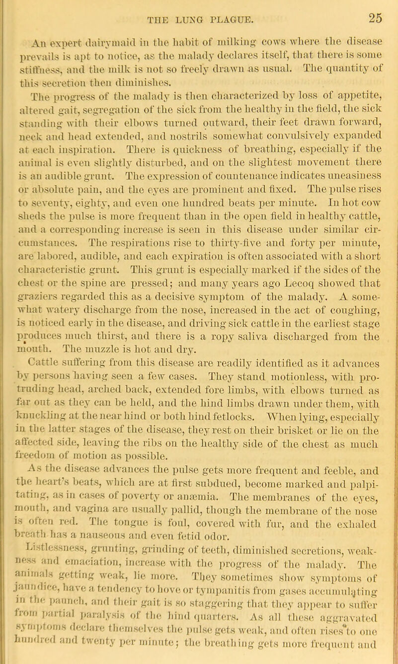 An expert dairymaid in the habit of milking cows where the disease prevails is apt to notice, as the malady declares itself, that there is some stiffness, and the milk is not so freely drawn as usual. The quantity of this secretion then diminishes. The progress of the malady is then characterized by loss of appetite, altered gait, segregation of the sick from the healthy in the field, the sick standing with their elbows turned outward, their feet drawn forward, neck and head extended, and nostrils somewhat convulsively expanded at each inspiration. There is quickness of breathing, especially if the animal is even slightly disturbed, and on the slightest movement there is an audible grunt. The expression of countenance indicates uneasiness or absolute pain, and the eyes are prominent and fixed. The ionise rises to seventy, eighty, and even one hundred beats per minute. In hot cow sheds the pnlse is more frequent than in the open field in healthy cattle, and a corresponding increase is seen in this disease under smiilar cir- cumstances. The respirations rise to thirty-five and forty per minute, are labored, audible, and each expiration is often associated with a short characteristic grunt. This grunt is especiall}^ marked if the sides of the chest or the spine are pressed; and many years ago Lecoq showed that graziers regarded this as a decisive symptom of the malady. A some- what watery discharge from the nose, increased in the act of coughing, is noticed early in the disease, and driving sick cattle in the earliest stage produces much, thirst, and there is a ropy saliva discharged froju the mouth. The muzzle is hot and dry. Cattle suffering from this disease are readily identified as it advances by persons having seen a few cases. They stand motionless, Avith pro- truding head, arched back, extended fore limbs, with elbows turned as far out as they can be held, and the hind limbs drawn under them, with knuckling at the near hind or both hiud fetlocks. When lying, especially in the latter stages of the disease, they rest on their brisket or lie on the affected side, leaving the ribs on the healthy side of the chest as much fi’eedorn of motion as possible. As the disease advances the pulse gets more frequent and feeble, and the heart’s beats, wliich are at first subdued, become marked and palpi- tatiiig, as in cases of j)overty or anmmia. The membranes of the eyes, mouth, and vagina are usually pallid, though the membrane of the nose is often red. The tongue is foul, covered with fur, and the exhaled breath has a nauseous and even fetid odor. Listlessness, grunting, grinding of teeth, diminished secretions, Avoak- ness mid emaciation, increase with the progress of the malady. The aninial.s getting Aveak, lie more. They sometimes show symiitoms of jaundice, Iuia'c a tendency to hove or tympanitis from gases accumuhjting in the paunch, mid theii- gm't is so staggering that they appear to suffer from jiartial paralysis of the hind ipiarters. As all these aggravated symptoms declare themselves the pulse gets Aveak, and often rises'*!!) one hundred and twenty per minute; the breathing gets more frequent and