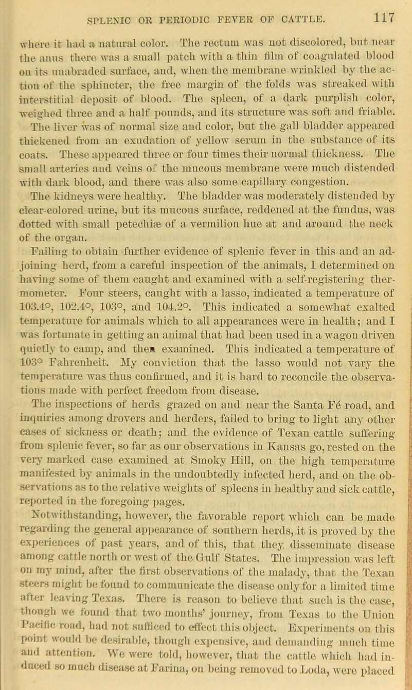 where it had a natural color. The rectum was not discolored, but near the anus there was a small patch with a thiu film of coagulated blood on its unabraded surface, and, when the membrane wrinkled by the ac- tion of the sphincter, the free margin of the folds was streaked with interstitial deposit of blood. The spleen, of a tlark purplish color, weighed three and a half pounds, and its structure was soft and friable. The liver was of normal size and color, but the gall bladder appeared thickened from an exudation of yellow serum in the substance of its coats. These appeared three or four times their normal thickness. The small arteries and veins of the mucous membrane were much distended with dark blood, and there was also some capillary congestion. The kidneys were healthy. The bladder was moderately distended by clear-colored urine, but its mucous surface, reddened at the fundus, was dotted with small petechiae of a vermilion hue at and around the neck of the organ. Failing to obtain further evidence of splenic fever in this and an ad- joining herd, from a careful inspection of the animals, I determined on having some of them caught and examiued with a self-registering ther- mometer. Four steers, caught with a lasso, indicated a temiierature of 103.4°, 102.4°, 103°, and 104.2°. This indicated a somewhat exalted temperatiu'e for animals which to all appearances were in health; and I was fortunate in getting an animal that had been used in a wagon driven quietly to camp, and then examined. This indicated a temperature of 103° Fahrenheit. My conviction that the lasso would not vary the temperature was thus confirmed, and it is hard to reconcile the observa- tions made with perfect freedom from disease. The inspections of herds grazed on and near the Santa Fe road, and inquiries among drovers and herders, failed to bring to light any other cases of sickness or death; and tiie evidence of Texan cattle suffering from splenic fever, so far as our observations in Kansas go, rested on the ver>' marked case examined at Smoky Hill, on the high temperature manifested by animals in the undoubtedly infected herd, and on the ob- servations as to the relative weights of spleens in healthy and sick cattle, rei)orted in the foregoing pages. Notwithstanding, however, the favorable report which can bo made regarding the general appearance of southern herds, it is proved by the ex])eriences of jiast years, and of this, that they, disseminate disease among cattle north or west of the Gulf States. The impression was left on my mind, after the first observations of the malady, that tlie Texau steers might be found to communicate the disease only for a limited time after leaving Texas. There is reason to believe that such is the case, though we found that two months’ journey, from Texas to the Union 1 acific road, had not sufiiced to elfect this object. Fxperiments on this point would be desirable, though expensive, and demanding much time and attention. We were told, however, that the cattle which had in- duced .so much di.sea.se at Farina, on being removed to Loda, were placed