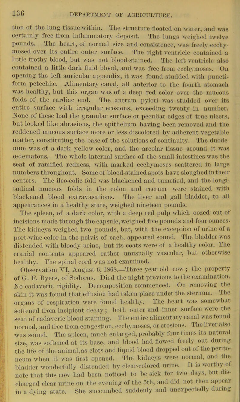 tion of the lung tissue Avithin. Tlie structure floated ou Avater, and Avas certaiulj^ free from iutlainmatory deposit. Tlie lungs AA’eighed tAveh'e pounds. The heart, of normal size and consistence, Avas freely ecchy- inosed OA^er its entire outer surface. Tlie right A'entricle contained a little frothy blood, but Avas not blood-stained. The left A'cntricle also contained a little dark fluid blood, and aatis free from ecchymoses. Ou opening the left auricidar appendix, it Avas found studded Avith puncti- form petechim. Alimentary canal, all anterior to the fourth stomach Avas healthy, but this organ Axas of a deep red color over the mucous folds of the cardiac end. The antrum pylori AAms studded oA'er it-s entire surface with irregular erosions, exceeding twenty in number. INone of these had the granular surface or peculiar edges of true ulcers, but looked like abrasions, the eiAithelium haAdng been remox^ed and the reddened mucous surface more or less discoloi’ed by adherent A'^egetable matter, constituting the base of the solutions of continuity. The duode- num was of a dark yellow color, and the areolar tissue around it Ax as cedematous. The whole internal surface of the small intestines was the seat of ramified redness, with marked ecchjmioses scattered in large numbers throughout. Some of blood-stained spots haA^e sloughed iu their centers. The ileo-colic fold was blackened and tumefied, and the longi- tudinal mucous folds in the colon and rectum were stained with blackened blood extravasations. The liver and gall bladder, to all appearances in a healthy state, Aveighed nineteen iiounds. The spleen, of a dark color, Avith a deep red pulp which oozed out of incisions made through the capsule, weighed fiA*e pounds and four ounces- The kidneys weighed tAVO pounds, but, Avith the exception of urine of a port-wine color in the pehns of each, appeared sound. The bladder was distended with bloody urine, but its coats were of a healthj^ color. The cranial contents appeared rather unusually vascular, but otherAvise healthy. The spinal cord was not examined. ObserAmtion VI, August G, 1868.—Three year old cow; the property of G. F. Byers, of Sodorus. Died the night lirevious to the examination, hfo cadaA’eric rigidity. Decomi>osition commenced. On remoA’iug the skin it was found that effusion had taken place under the sternum. Ihe organs of respiration Avere found healthy. The heart AAas somewhat softened from inciihent decay; both outer and inner surface AX'ere the seat of cadaA^eric blood-staining. The entire alimentary canal Avas tound normal, and free from congestion, ecchymoses, or erosions. The Hatu' also was sound. The spleen, much enlarged, probably four times its uatiu-al size, Avas softened at its base, and blood had floA\'ed freely out during the life of the animal, as clots and liquid blood dropped out of the perito- neum AA’hen it aatxs first opened. The kidneys AA'ere normal, and the bladder Avonderfully distended by clear-colored urine. It is Avorthy of note that this coav had been noticed to be sick for tAvo days, but dis- charged clear urine on the eA^ening of the oth, and did not then appear iu a dying state. She succumbed suddenly and iinexpectedly during