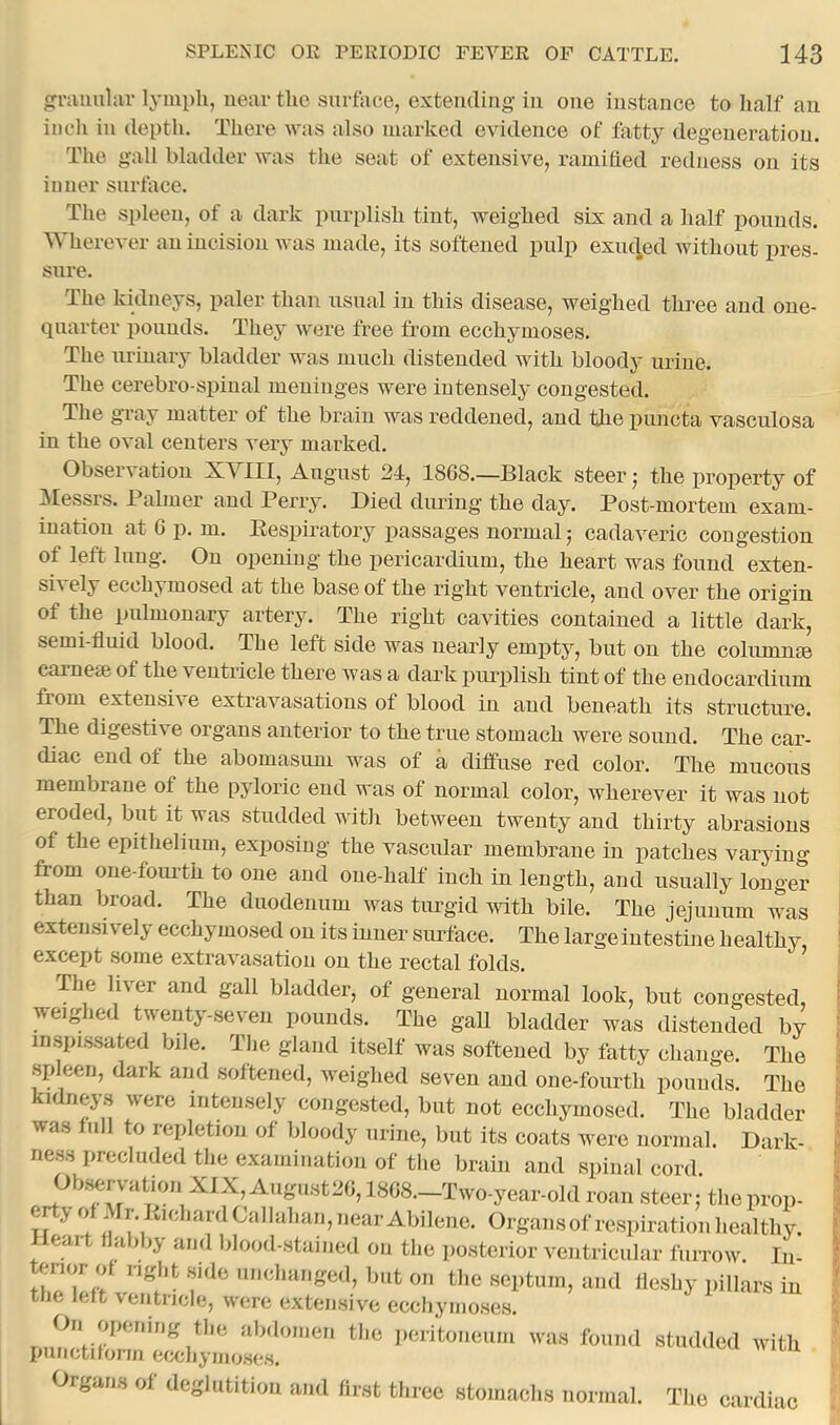 raimlar lymph, near the surface, extending- in one instance to half an inch in depth. There was also marked e\ddence of fatty degeneration. The gall bladder was the seat of extensive, ramified redness on its inner surface. The spleen, of a dark purplish tint, weighed six and a half pounds. herever an incision was made, its softened puli) exnc|ed without pres- sure. The kidneys, paler than usual in this disease, weighed three and one- quarter lionuds. They were free from ecchymoses. The urinary bladder was much distended with bloody urine. The cerebro-spinal meninges were intensely congested. The gTay matter of the brain was reddened, and the piincta vasculosa in the oval centers very marked. Observation XYIII, August 24, 1868.—Black steer; the property of Messrs. Palmer and Perry. Died diming the day. Post-mortem exam- ination at 6 p. m. Eespii-atory passages normal; eadaveric congestion of left lung. On opening the pericardium, the heart was found exten- sB ely ecchymosed at the base of the right ventricle, and over the origin of the pulmonary artery. The right cavities contained a little dark, semi-fluid blood. The left side was nearly empty, but on the colnmme camCtB of the ventricle there was a dark purplish tint of the endocardium from extensive extravasations of blood in and beneath its structure. The digestive organs anterior to the true stomach were sound. The car- diac end of the abomasum was of a diffuse red color. The mucous membrane of the pyloric end was of normal color, wherever it was not eroded, but it was studded with between twenty and thirty abrasions of the epithelium, exi^osing the vascular membrane in iiatches varying from one-foiu-th to one and one-half inch in length, and usually longer than broad. The duodenum was turgid with bile. The jejunum was extensively ecchymosed on its inner surface. The large intestine healthy, except some extravasation on the rectal folds. The hver and gall bladder, of general normal look, but congested, weighed twenty-seven pounds. The gall bladder was distended by inspissated bile. The gland itself was softened by fatty change. The spleen, dark and softened, weighed seven and one-fonrth pounds. The kidneys were intensely congested, but not ecchymosed. The bladder was full to repletion of bloody urine, but its coats were normal. Dark- ness precluded the examination of the brain and spinal eord. Ob.^rvation XIX, August20,1808.—Two-year-old roan steer; theprop- w Organs of respiration healthy. Heart flabby and blood-stained on the posterior ventricular furrow. In- .nor o right side unchanged, but on the septum, and fleshy pillars in the left ventricle, were extensive cccliyinoses. ^ l m On fqiening the abdomen the peritoneum was found studded with punctiforin eixjliymoses. Organs of deglutition and first three stomachs normal. The cardiac