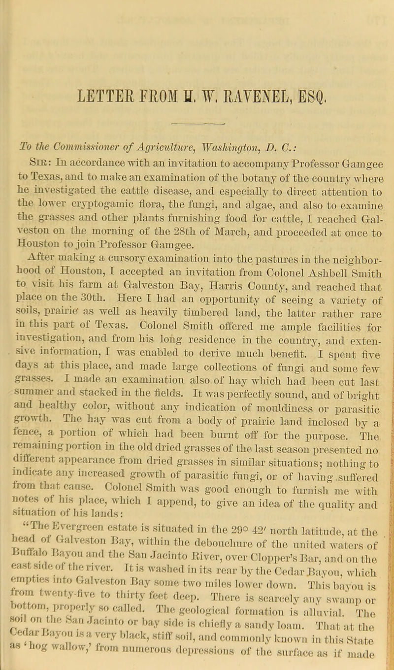 LETTER FROM H. W. RAVENEL, ESQ. To the Commissioner of Agriculture, Washington, D. C.: Sir: Iu accordance with an invitation to accompany Professor Gam gee to Texas, and to make an examination of the botany of the conntry where he investigated the cattle disease, and esi)ecially to direct attention to the lower cryptogamic flora, the fungi, and algae, and also to examine the gTasses and other plants furnishing food for cattle, I reached Gal- veston on the morning of the 28th of March, and proceeded at once to Houston to join Professor Gam gee. After making a cursory exammation into the pastures iu the neighbor- hood of Houston, I accepted an invitation from Colonel Ashbell Smith to visit his farm at Galveston Bay, Harris County, and reached that place on the 30th. Here I had an opportunity of seeing a variety of soils, prairie* as well as heavily timbered land, the latter rather rare in this part of Texas. Colonel Smith oflered me ample facilities for investigation, and from his long residence in the conntry, and exten- sive information, I was enabled to derive much benefit. I spent flve days at this place, and made large collections of fungi and some few grasse.'M. I made an examination also of hay which had been cut last snmmer and stacked in the fields. It was perfectly sound, and of bright and healthy color, without any indication of monldiness or parasitic growth. The hay was cut from a body of prairie land inclosed bv a fence, a portion of which had been burnt off for the purpose. The remaining portion in the old dried grasses of the last season presented no different appearance from dried grasses in similar situations; nothing to indicate any bicreased growth of parasitic fungi, or of having .suffered from tliat cau.se. Colonel Smitli was good enough to furnish me with notes of his place, which I append, to give an idea of the quality and situation of Ids hinds: “The Evergreen estate is situated in the 29° 42' north latitude, at the head of Galveston flay, within fl.e debouchure of the united waters of ' i>uffalo Bayou and tlie San Jacinto Jiiver, over Clopper’sflar, and on the east side of the river, ft is washed in its rear by tlie Cedar Jhiyon, which mnpties into Galveston Ihiy some two miles lower down. This bavon is rom twenty-five to thirty feet deej,. There is scarcely any swamp or bo ton, pnqierly so calle.1. The geological formation is alluvial. The soil on the San .Jacinto or bay side is cl,icily a sandy loam. That at the Cedar J>ayo„ is a very black, stiff .soil, and commonly known in this State as hog wallow, from numerous rlepre.ssions of the surface as if made