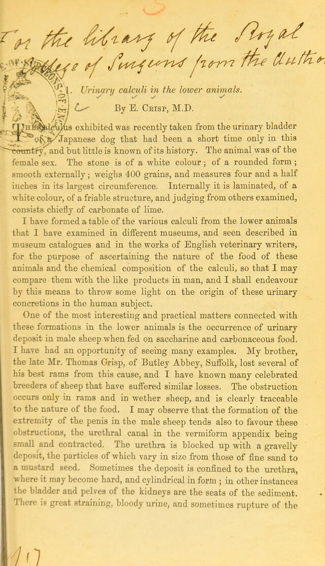digitised image 1