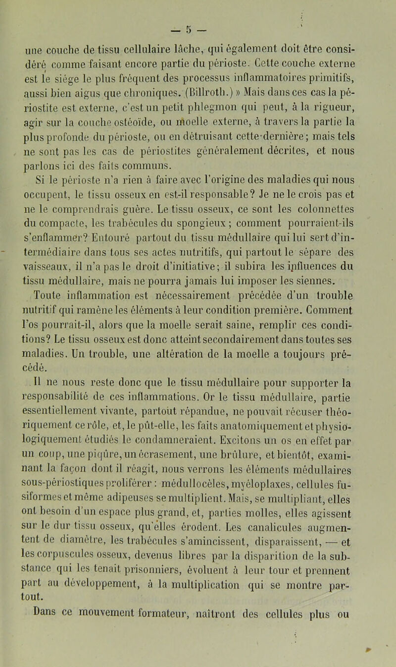 une couche de tissu cellulaire lâche, qui égaleinent doit être consi- déré comme faisant encore partie du périoste. Cette couche externe est le siège le plus fréquent des processus inflammatoires primitifs, aussi bien aigus que chroniques. (Billroth.) » Mais dans ces cas la pé- riostite est e.xterne, c’est un petit phlegmon qui peut, à la rigueur, agir sur la couche ostéoïde, ou moelle e.xterne, à travers la partie la plus profonde du périoste, ou en détruisant cette-dernière; mais tels ne sont pas les cas de périostites généralement décrites, et nous parlons ici des faits communs. Si le périoste n’a rien à faire avec l’origine des maladies qui nous occupent, le tissu osseux en est-il responsable? Je ne le crois pas et ne le comprendrais guère. Le tissu osseux, ce sont les colonnettes du compacfe, les trabécules du spongieux ; comment pourraient-ils s’enflammer? Entouré partout du tissu médullaire qui lui sert d’in- termédiaire dans tous ses actes nutritifs, qui partout le sépare des vaisseaux, il n’a pas le droit d’initiative; il subira les ijifluences du tissu médullaire, mais ne pourra jamais lui imposer les siennes. Toute inflammation est nécessairement précédée d’un trouble nutritif qui ramène les éléments à leur condition première. Comment l’os pourrait-il, alors que la moelle serait saine, remplir ces condi- tions? Le tissu osseux est donc atteint secondairement dans toutes ses maladies. Un trouble, une altération de la moelle a toujours pré- cédé. Il ne nous reste donc que le tissu médullaire pour supporter la responsabilité de ces inflammations. Or le tissu médullaire, partie essentiellement vivante, partout répandue, ne pouvait récuser théo- riquement ce rôle, et, le pût-elle, les faits anatomiquement et physio- logiquement étudiés le condamneraient. Excitons un os en effet par un coup, une piqûre, un écrasement, une brûlure, et bientôt, exami- nant la façon dont il réagit, nous verrons les éléments médullaires sous-périostiques proliférer : médullocèles,myéloplaxes, cellules fu- siformes et même adipeuses se multiplient. Mais, se multipliant, elles ont besoin d’un espace plus grand, et, parties molles, elles agissent sur le dur tissu osseux, qu’elles érodent. Les canalicules augmen- tent de diamètre, les trabécules s’amincissent, disparaissent, ■— et les corpuscules osseux, devenus libres par la disparition de la sub- stance qui les tenait prisonniers, évoluent à leur tour et prennent part au développement, à la multiplication qui se montre par- tout. Dans ce mouvement formateur, naîtront des cellules plus ou