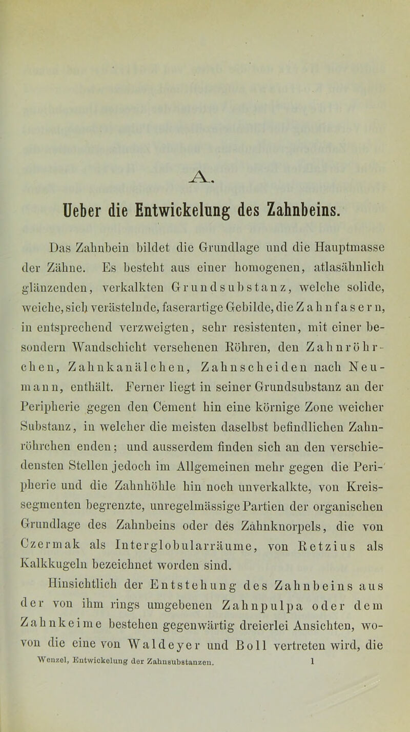 lieber die Entwickelung des Zahnbeins. Das Zalinbein bildet die Grundlage imd die Hauptmasse der Zähne. Es besteht aus einer homogenen, atlasähnlich glänzenden, verkalkten Gr und Substanz, welche solide, weiche, sieb verästelnde, faserartige Gebilde, die Z a h n f a s e r n, in entsprechend verzweigten, sehr resistenten, mit einer be- sondern Waudschicht versehenen Köhren, den Zahnröhr- cheu, Zahukanälchen, Zahnscheideu nach Neu- manu, enthält. Ferner liegt in seiner Gruudsubstauz an der Peripherie gegen den Gement hin eine körnige Zone weicher Substanz, in welcher die meisten daselbst befindlichen Zahn- röhrchen enden; und ausserdem finden sich au den verschie- densten Stellen jedoch im Allgemeinen mehr gegen die Peri-' pherie und die Zahnhöhle hin noch unverkalkte, von Kreis- segmenten begrenzte, unregelmässigePartien der organischen Grundlage des Zahnbeins oder des Zahnknorpels, die von Czermak als Interglobularräume, von Ketzins als Kalkkugeln bezeichnet worden sind. Hinsichtlich der Entstehung des Zahnbeins aus der von ihm rings umgebenen Zahnpulpa oder dem Zahnkeime bestehen gegenwärtig dreierlei Ansichten, wo- von die eine von Waldeyer und Bo 11 vertreten wird, die