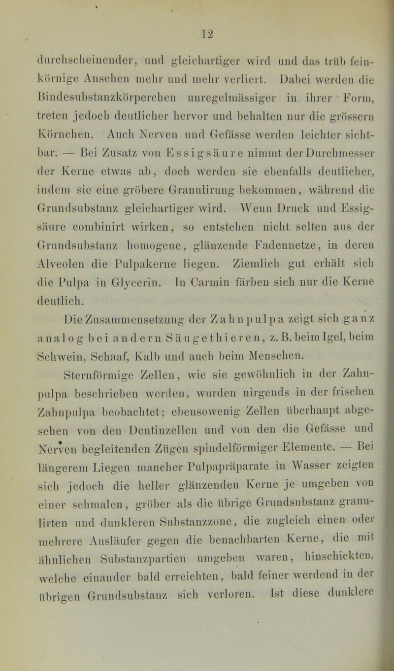 (lurclisclieiiieiider, und gleicduirtiger wird und diis trüb fein- körnige Ansehen mehr und mehr verliert. Dtihei werden die Mindesuhstanzkörperchen unregelmässiger in ihrer ‘ Form, treten Jedoch deutlicher hervor und behalten nur die grösseni Körnchen. Auch Nerven und Gefässe werden leichter sicht- bar. — Jlei Zusatz von Fssigsäure nimmt der Durchmesser der Kerne etwas ab, doch werden sie ebenfalls deutlicher, indem sie eine gröbere Granulirung bekommen, während die Grundsubstauz gleichartiger wird. AVeuii Druck und Essig- säure combiuirt wirken, so entstehen nicht selten aus der Grundsubstauz homogene, glänzende Fadennetze, in deren Alveolen die Fulpakerne liegen. Ziemlich gut erhält sieh die Pulpa in Glycerin, ln Carmin färben sich nur die Kerne deutlich. Die Zusammensetzung der Z a h n p u 1 p a zeigt sich g a n z a n a 10 g bei andern S ä u g e t h i e r e n, z. ß. beim Igel, beim Schwein, Schaaf, Kalb und auch beim Menschen. Sternförmige Zellen, wie sie gewöhnlich in der Zahn- pulpa beschrieben werden, wurden nirgends in der frischen Zahnpulpa beobachtet; ebensowenig Zellen überhaupt abge- sehen von den Dentinzellen und von den die Getässe und Nerven begleitenden Zügen spindelförmiger Elemente. — Bei längerem Liegen mancher Pulpapräparate in Wasser zeigten sich jedoch die heller glänzenden Kerne je umgeben von einer schmalen, gröber als die übrige Grundsubstanz granu- lirten und dunkleren Substanzzone, die zugleich einen odei mehrere Ausläufer gegen die benachbarten Kerne, die mit ähnlichen Substanzpartien umgeben waren, hinschicktcn, welche einander bald erreichten, bald feiner werdend in der übrigen Grundsubstanz sich verloren. Ist diese dunklere