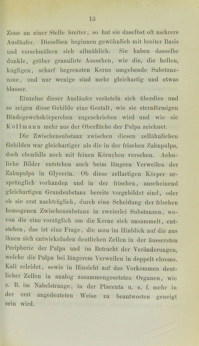 Zone au einer Stelle breiter, so bat sie daselbst oft inebrere Ausläufer. Dieselben beginnen gewölinlicli mit breiter Basis und verscliinälern sich allmäblicb. Sie haben dasselbe dunkle, gröber granulirte Aussehen, wie die, die hellen, kugligen, scharf begrenzten Kerne umgebende Substanz- zone , und nur wenige sind mehr gleichartig und etwas blasser. Einzelne dieser Ausläufer verästeln sich überdies und so zeigen diese Gebilde eine Gestalt, wie sie sternförmigen Bindegewebskörperchen zugeschrieben wird und wie sie Kollmann mehr aus der Oberfläche der Pulpa zeichnet. Die Zwischeusubstanz zwischen diesen zellähulicheii Gebilden war gleichartiger als die in der frischen Zahupulpa, doch ebenfalls noch mit feinen Körnqheu versehen. Aehn- liche Bilder entstehen auch beim längern Verweilen der Zahnpulpa in Glycerin, Ob diese zellartigeu Körper ur- sprünglich vorhanden und in der frischen, anscheinend gleichartigen Gruudsubstanz bereits vorgebildet sind, oder ob sie erst nachträglich, durch eine Scheidung der frischen homogenen Zwischensübstanz in zweierlei Substanzen, wo- von die eine vorzüglich um die Kerne sich ansammelt, ent- stehen, das ist eine Frage, die mau im Hinblick auf die aus ihnen sich entwickelnden deutlichen Zellen in der äussersteu 1 eripherie der Pulj)a und im Betracht der Veränderungen, welche die Pulpa bei längerem Verweilen in doppelt chroms. Kali erleidet, sowie in Hinsicht auf das Vorkommen deut- lichei Zellen in analog zusammengesetzten Organen, wie z. B. im Nabelstrange, in der Placenta u. s. f. mehr in dei eist augedeuteten Weise zu beantworten geneigt sein wird.