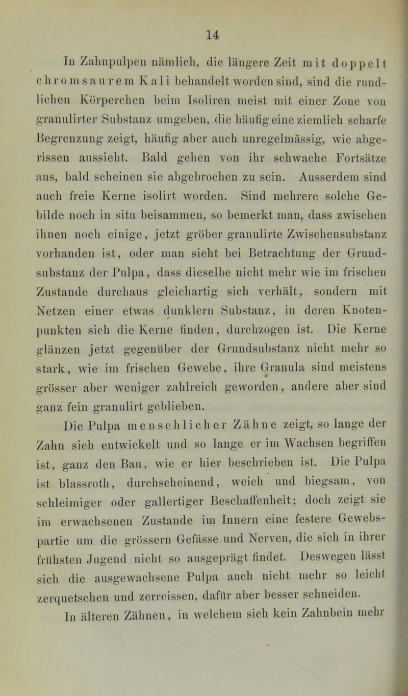 Tn Zalinpul])en nümlicli, die längere Zeit mit doppelt c li r ü m s a ii r e in Iv a 1 i behandelt worden sind, sind die riind- lielien Körperchen heim Isoliren meist mit einer Zone von graniilirter Substanz umgehen, die häufig eine ziemlich scharfe Begrenzung zeigt, häufig aber auch unregelmässig, wie abge- rissen aussieht. Bald gehen von ihr schwache Fortsätze aus, bald scheinen sie abgebrochen zu sein. Ausserdem sind auch freie Iverne isolirt worden. Sind mehrere solche Ge- bilde noch in situ beisammen, so bemerkt man, dass zwischen ihnen noch einige, jetzt gröber granulirte Zwischensubstanz vorhanden ist, oder man sieht bei Betrachtung der Grund- substanz der Pulpa, dass dieselbe nicht mehr wie im frischen Zustande durchaus gleichartig sich verhält, sondern mit Netzen einer etwas dunklem Substanz, in deren Knoten- punkten sich die Kerne finden, durchzogen ist. Die Iverne glänzen jetzt gegenüber der Grundsubstanz nicht mehr so stark, wie im frischen Gewebe, ihre Granula sind meistens grösser aber weniger zahlreich geworden, andere aber sind ganz fein granulirt geblieben. Die Pulpa menschlicher Zähne zeigt, so lange der Zahn sich entwickelt und so lange er im Wachsen begrifien ist, ganz den Bau, wie er hier beschrieben ist. Die Pulpa ist blassroth, durchscheinend, weich und biegsam, von schleimiger oder gallertiger Beschaffenheit; doch zeigt sie im erwachsenen Zustande im Innern eine festere Gewebs- partie um die grössern Gefässe und Nerven, die sich in ihrei frühsten Jugend nicht so ausgeprägt findet. Deswegen lässt sich die ausgewachsene Pulpa auch nicht mehr so leicht zertjuetschen und zerreissen, dafür aber bessei schneiden. ln älteren Zähnen, in welchem sich kein Zahnbein mehr