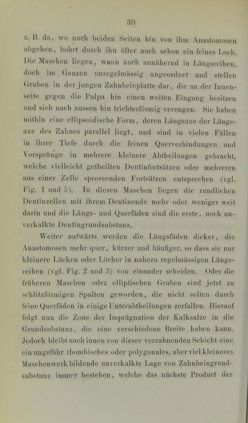 z. B. da, wo nacli beiden Seiten hin von iliin Anastoinosen abgehen, bohrt dnreh ihn öfter auch sclion ein feines fjoch. DieMaselien liegen^ wonn auch annähernd in Längsreihen, doeli iin Ganzen nnregelinässig angeordnet und stellen Graben in der jnngen Zahnbein])latte dar, die an der Innen- seite gegen die Pulpa hin einen weiten Eingang besitzen lind sich nach aussen hin trichterförmig verengen. Sie haben mithin eine ellipsoidische Form, deren Längsaxe der Längs- axe des Zahnes parallel liegt, und sind in vielen Fällen in ihrer Tiefe durch die feinen Querverbindungen und Vors])rünge in mehrere kleinere Abtheilungen gebracht, welche vielleicht getheilten Dentinfortsätzen oder mehreren aus einer Zelle sprossenden Fortsätzen entsprechen (vgl. Fig. 1 und 5). In diesen Maschen liegen die rundlichen Dentinzellen mit ihrem Dentinende mehr oder weniger weit darin und die Ijängs- und (Mierfäden sind die erste, noch un- verkalkte Dentingrundsubstanz, Weiter aufwärts werden die Längsfäden dicker, die Anastomosen mehr quer, kürzer und häutiger, so dass sie nur kleinere Lücken oder Löcher in nahezu regelmässigen Längs- reihen (vgl. Fig. 2 und 3) von einander scheiden. Oder die früheren Maschen odeu elliptischen Gruben sind jetzt zu schlitzförmigen Spalten geworden, die nicht selten durch feine (,Juerfäden in einige lluterabtheilungeu zerfallen. Hierauf folgt nun die Zone der Imprägnation der Kalksalze in die Grundsubstanz, die eine verschiedene Breite haben kann. Jedoch bleilitnach innen von dieser verzahnenden Schicht eine ein ungefähr rhombisches oder polj^gonales, aber viel kleineres Maschenwerk bildende unverkalkte Lage von Zahnbeingrund- substanz immer bestehen, welche das nächste Product der