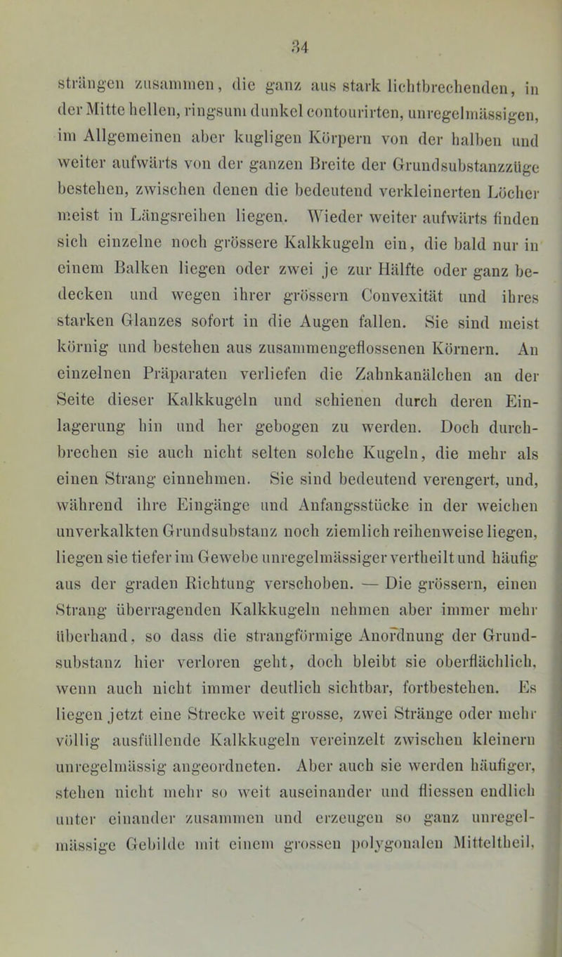 strängen znsmnnien, die ganz aus stark liclitbreclienden, in der Mitte hellen, ringsum dunkel contourirten, unregelmässigen, im Allgemeinen aber kugligen Körpern von der halben und weiter aufwärts von der ganzen Breite der Grundsubstanzzüge bestellen, zwischen denen die bedeutend verkleinerten Löcher meist in Längsreihen liegen. Wieder weiter aufwärts finden sich einzelne noch grössere Kalkkugeln ein, die bald nur in einem Balken liegen oder zwei je zur Hälfte oder ganz be- decken und wegen ihrer grössern Convexität und ihres starken Glanzes sofort in die Augen fallen. Sie sind meist körnig und bestehen aus zusammengeflossenen Körnern. An einzelnen Präparaten verliefen die Zahnkanälchen an der Seite dieser Kalkkugeln und schienen durch deren Ein- lagerung hin und her gebogen zu werden. Doch durch- brechen sie auch nicht selten solche Kugeln, die mehr als einen Strang einnehmen. Sie sind bedeutend verengert, und, während ihre Eingänge und Anfangsstücke in der weichen unverkalkten Grundsubstanz noch ziemlich reihenweise liegen, liegen sie tiefer im Gewebe unregelmässiger vertheilt und häufig ; aus der graden Richtung verschoben. — Die grössern, einen Strang überragenden Kalkkugeln nehmen aber immer mehr überhand, so dass die strangförmige Anordnung der Grund- substanz hier verloren geht, doch bleibt sie oberflächlich, wenn auch nicht immer deutlich sichtbar, fortbestehen. Es liegen jetzt eine Strecke weit grosse, zwei Stränge oder mehr völlig ausfüllende Kalkkugeln vereinzelt zwischen kleinern unregelmässig angeordneten. Aber auch sie werden häufiger, stehen nicht mehr so weit auseinander und fliessen endlich | unter einander zusammen und erzeugen so ganz unregel- mässige Gebilde iiut einem grossen polygonalen Mitteltheil, 1