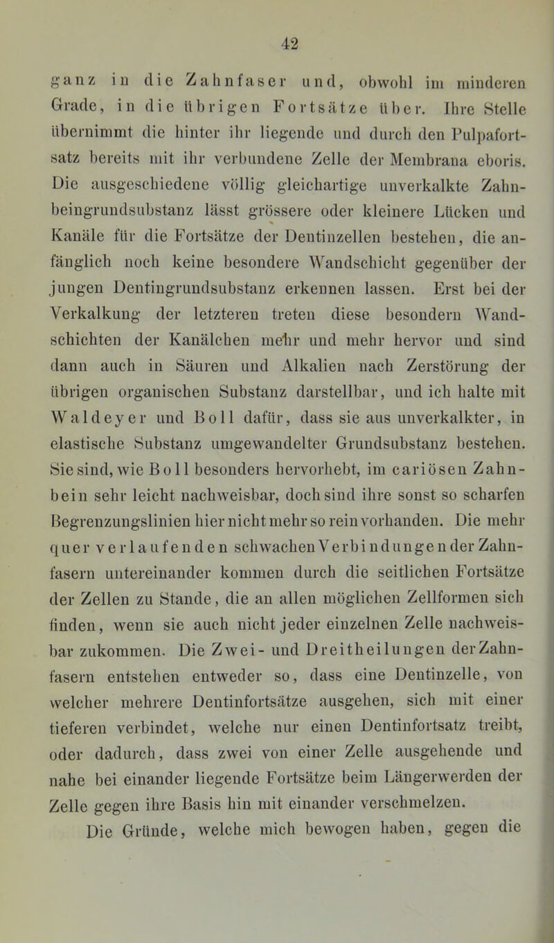 in die Zahnfaser und, obwohl iin minderen Grade, in die übrigen Fortsätze über. Ihre Stelle überninimt die hinter ihr liegende und durch den Pulpafort- satz bereits mit ihr verbundene Zelle der Membrana eboris. Die ausgescbiedene völlig gleichartige unverkalkte Zahn- beingrundsubstanz lässt grössere oder kleinere Lücken und Kanäle für die Fortsätze der Deutinzellen bestehen, die an- fänglich noch keine besondere Wandschicht gegenüber der jungen Dentiugrimdsubstauz erkennen lassen. Erst bei der Verkalkung der letzteren treten diese besouderu Wand- schichten der Kanälchen melir und mehr hervor und sind dann auch in Säuren und Alkalien nach Zerstörung der übrigen organischen Substanz darstellbar, und ich halte mit W a 1 d e y e r und B o 11 dafür, dass sie aus unverkalkter, in elastische Substanz umgewandelter Grundsubstanz bestehen. Sie sind, wie Bo 11 besonders hervorhebt, im cariösen Zahn- bein sehr leicht nachweisbar, doch sind ihre sonst so scharfen Begrenzungslinien hier nicht mehr so rein vorhanden. Die mehr quer verlaufenden schwachen Verbindungen der Zahii- fasern untereinander kommen durch die seitlichen Fortsätze der Zellen zu Stande, die an allen möglichen Zellformen sich finden, wenn sie auch nicht jeder einzelnen Zelle nachweis- bar zukommen. Die Zwei- und Dreitheilungen derZahn- fasern entstehen entweder so, dass eine Dentinzelle, von welcher mehrere Dentinfortsätze ausgehen, sich mit einer tieferen verbindet, welche nur einen Dentinfortsatz treibt, oder dadurch, dass zwei von einer Zelle ausgehende und nahe bei einander liegende Fortsätze beim Längerwerden der Zelle gegen ihre Basis hin mit einander verschmelzen. Die Gründe, welche mich bewogen haben, gegen die J