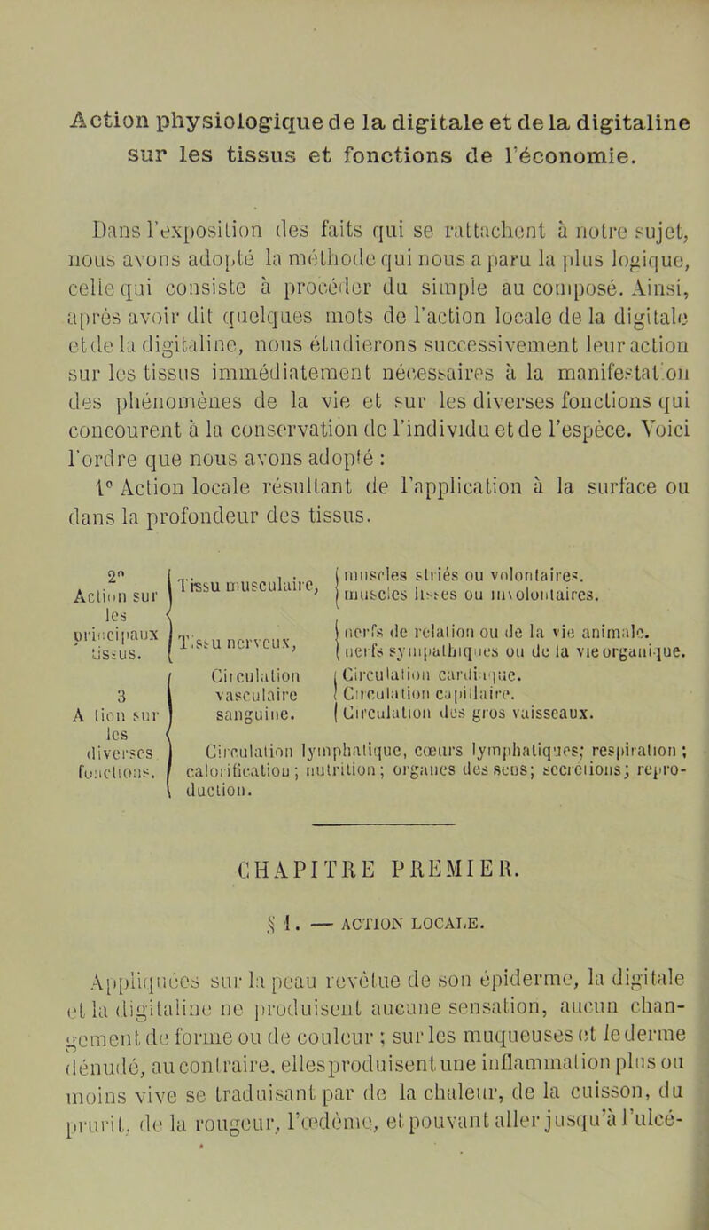 Action physiologique de la digitale et de la digitaline sur les tissus et fonctions de l’économie. Dans l’exposiLion des faits qui se rattachent à notre sujet, nous avons adof.té la méthode qui nous a paru la plus logique, celle qui consiste à procéder du simple au composé. Ainsi, a[)rés avoir dit quelques mots de l’action locale de la digitale ctde la digitaline, nous étudierons successivement leur action sur les tissus imiiiédintement nécessaires à la manifestat'on des phénomènes de la vie et sur les diverses fonctions qui concourent à la conservation de l’individu et de l’espèce. Voici l’ordre que nous avons adopté : Action locale résultant de l’application à la surface ou dans la profondeur des tissus. 2 Acliiiii sur les yrincipaux liSiUS. 3 A lion sur les diverses lu;K‘Uons. Trssu Diusculuire, mii.'îeles striés ou vnlonlaires. muscles lisses ou iinoloulaires. I iieiTs (le reliUion ou de la vi(> animale, uneneux, [ nerfs s;jiu[ialljiqiies ou delà vieorguiiique. Ciiculalion i Circulalioii cardiu'iue. vasculaire ! Cireulatimi Cü|)iilaire. sanguine. ( Circululion des gros vaisseaux. Circulation lymphatique, cœurs lymphatiques; respiration ; calorilicaliou ; nntrilion; organes desseus; sccreiiotis; repro- duction. CHAPITRE PREMIER. I. — ACTION LOCAUE. .S ,\[qniquecs sur la peau revêtue de sou épiderme, la digitale (.‘l la digitaline ne iiroduisent aucune sensation, aucun chan- gement de forme ou de couleur : sur les muqueuses et le derme dénudé, au coni raire. ellesproduisent une inllammalion plus ou moins vive se traduisant par de la chaleur, de la cuisson, du pi'urit, de la rougeur, rcedème, et pouvant aller jusqu’à Pulcé-