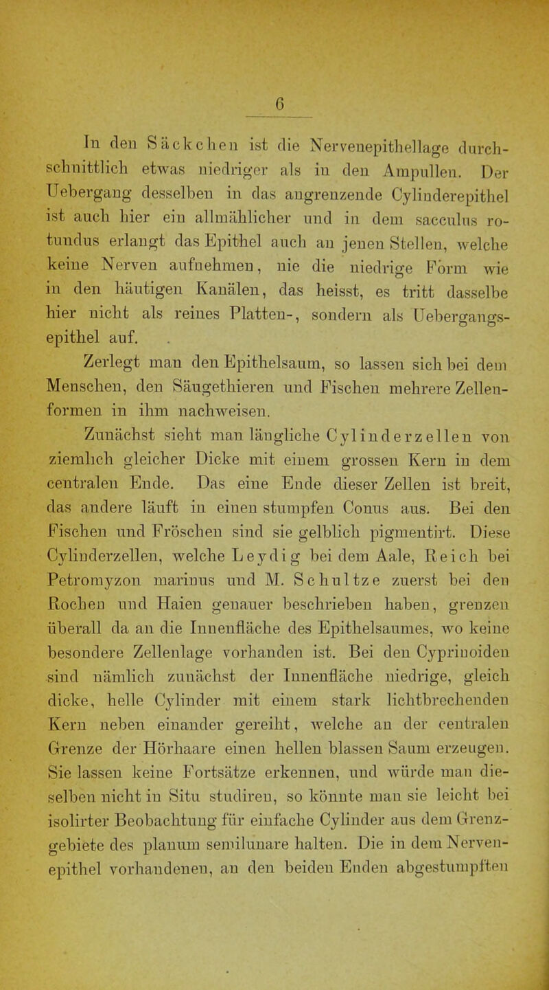 G In den Säckchen ist die Nervenepithellage durch- schnittlich etwas niedriger als in den Ampullen. Der Uebergang desselben in das angrenzende Cyliuderepithel ist auch liier eiu allmählicher und in dem sacculns ro- tundus erlangt das Epithel auch au jenen Stellen, welche keine Nerven aufnehmen, nie die niedrige Form wie in den häutigen Kanälen, das heisst, es tritt dasselbe hier nicht als reines Platten-, sondern als Uebergangs- epithel auf. Zerlegt man deu Epithelsaum, so lassen sich bei dem Menschen, den Säugethieren und Fischen mehrere Zellen- formen in ihm nachweisen. Zunächst sieht man längliche Cylinderzeilen von ziemlich gleicher Dicke mit einem grossen Kern in dem centralen Ende. Das eine Ende dieser Zellen ist breit, das andere läuft in einen stumpfen Conus aus. Bei den Fischen und Fröschen sind sie gelblich pigmentirt. Diese Cylinderzellen, welche Leydig bei dem Aale, Reich bei Petromyzon marinus und M. Schultze zuerst bei den Rochen und Haien genauer beschrieben haben, grenzen überall da an die Innenfläche des Epithelsaumes, wo keine besondere Zellenlage vorhanden ist. Bei den Cypriuoiden sind nämlich zunächst der Innenfläche niedrige, gleich dicke, helle Cylinder mit einem stark lichtbrechenden Kern neben einander gereiht, welche an der centralen Grenze der Hörhaare einen hellen blassen Saum erzeugen. Sie lassen keiue Fortsätze erkennen, und würde man die- selben nicht in Situ studireu, so könnte man sie leicht bei isolirter Beobachtung für einfache Cylinder aus dem Grenz- gebiete des planum semilunare halten. Die in demNerven- epithel vorhandenen, an den beiden Enden abgestumpften