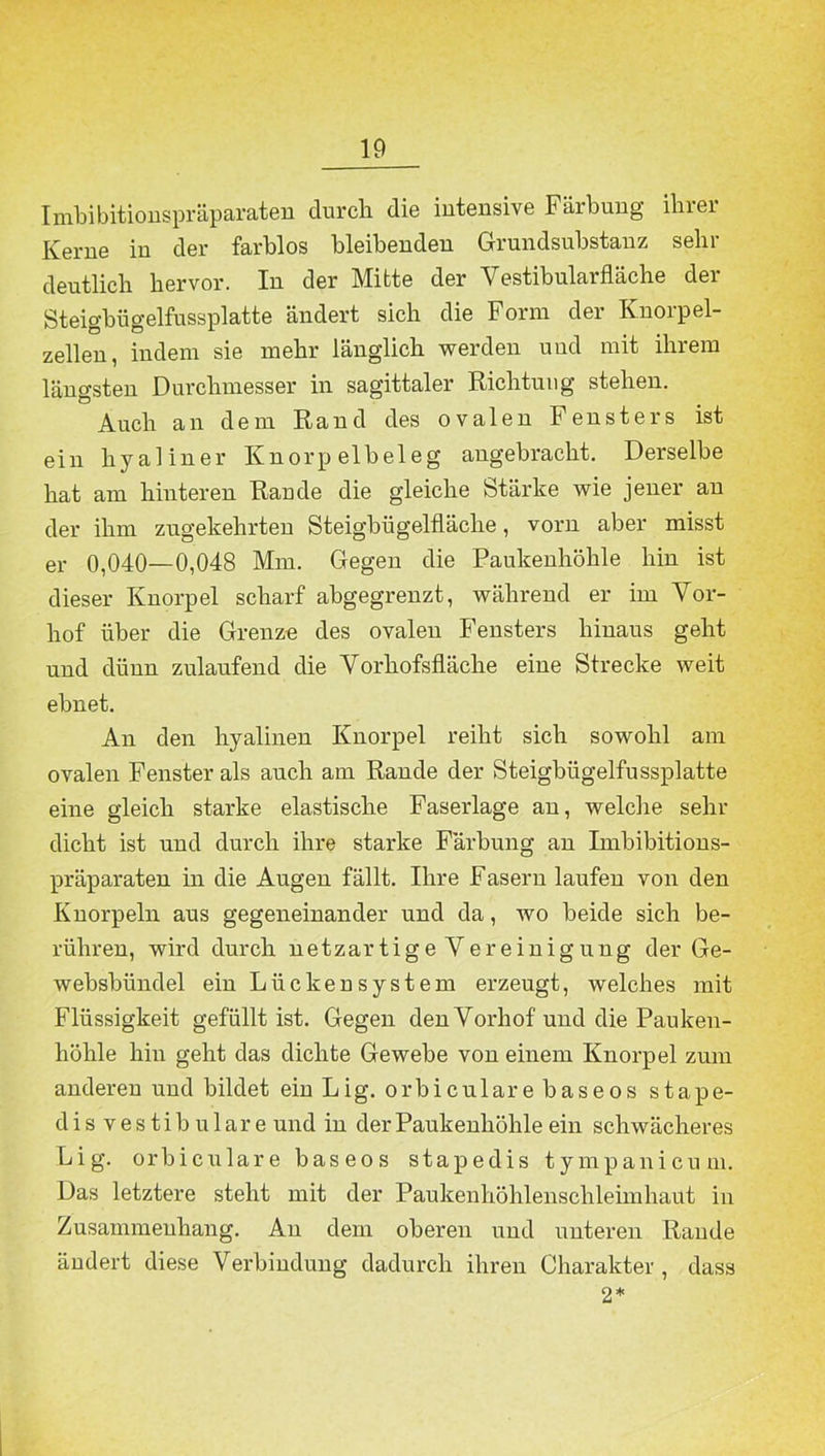 Imbibitionspräparaten durch die intensive Färbung ihrer Kerne in der farblos bleibenden Grundsubstanz sein- deutlich hervor. In der Mitte der Vestibularfläche der Steigbügelfussplatte ändert sich die Form der Knorpel- zellen, indem sie mehr länglich werden und mit ihrem längsten Durchmesser in sagittaler Richtung stehen. Auch an dem Rand des ovalen Fensters ist ein hyaliner Knorpelbeleg angebracht. Derselbe hat am hinteren Räude die gleiche Stärke wie jener an der ihm zugekehrten Steigbligelfläclie, vorn aber misst er 0,040—0,048 Mm. Gegen die Paukenhöhle hin ist dieser Knorpel scharf abgegrenzt, während er im Vor- hof über die Grenz« des ovalen Fensters hinaus geht und dünn zulaufend die Vorhofsfläche eine Strecke weit ebnet. An den hyalinen Knorpel reiht sich sowohl am ovalen Fenster als auch am Rande der Steigbügelfussplatte eine gleich starke elastische Faserlage an, welche sehr dicht ist und durch ihre starke Färbung an Imbibitions- präparaten in die Augen fällt. Ihre Fasern laufen von den Knorpeln aus gegeneinander und da, wo beide sich be- rühren, wird durch netzartige Vereinigung der Ge- websbündel ein Lückeusystem erzeugt, welches mit Flüssigkeit gefüllt ist. Gegen den Vorhof und die Pauken- höhle hin geht das dichte Gewebe von einem Knorpel zum anderen uud bildet ein Lig. orbiculare baseos stape- disvestibulare und in der Paukenhöhle ein schwächeres Lig. orbiculare baseos stapedis tympanicum. Das letztere steht mit der Paukenhöhlensclileimhaut in Zusammenhang. An dem oberen und unteren Rande ändert diese Verbindung dadurch ihren Charakter , dass 2*