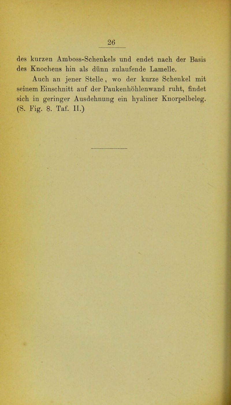 des kurzen Amboss-Schenkels und endet nach der Basis des Knochens hin als dünn zulaufende Lamelle. Auch an jener Stelle, wo der kurze Schenkel mit seinem Einschnitt auf der Paukenhöhlenwand ruht, findet sich in geringer Ausdehnung ein hyaliner Knorpelbeleg. (S. Fig. 8. Taf. II.) N