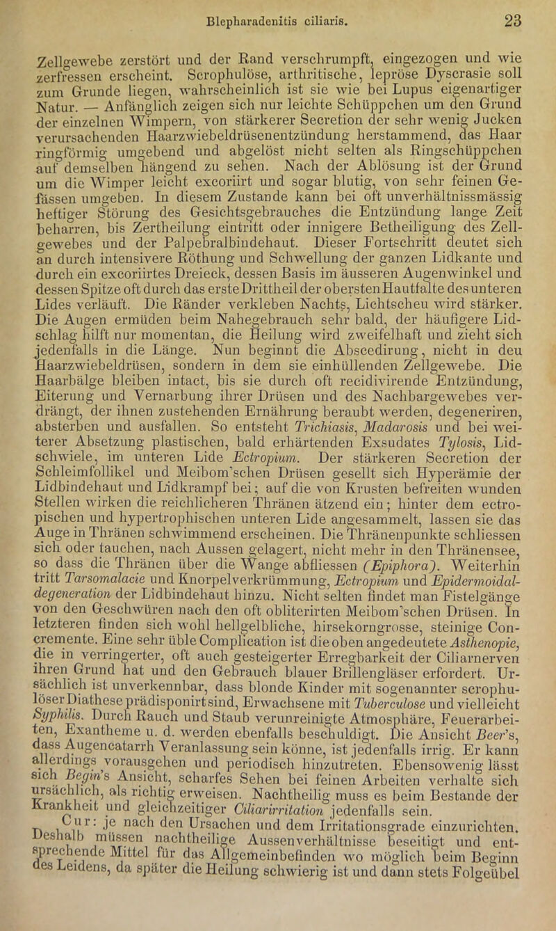 Zellgewebe zerstört und der Rand verschrumpft, eingezogen und wie zerfressen erscheint. Scrophulöse, arlhritische, lepröse Dyscrasie soll zum Grunde liegen, wahrscheinlich ist sie wie bei Lupus eigenartiger Natur. — Anfänglich zeigen sich nur leichte Schüppchen um den Grund der einzelnen Wimpern, von stärkerer Secretion der sehr wenig Jucken verursachenden Haarzwiebeldrüsenentzündung herstammend, aas Haar ringförmig umgebend und abgelöst nicht selten als Ringschüppcheu auf demselben hängend zu sehen. Nach der Ablösung ist der Grund um die Wimper leicht excoriirt und sogar blutig, von sehr feinen Ge- fässen umgeben. In diesem Zustande kann bei oft unverhältnissmässig heftiger Störung des Gesichtsgebrauches die Entzündung lange Zeit beharren, bis Zertheilung eintritt oder innigere Betheiligung des Zell- gewebes und der Palpebralbindehaut. Dieser Fortschritt deutet sich an durch intensivere Röthung und Schwellung der ganzen Lidkante und durch ein excoriirtes Dreieck, dessen Basis im äusseren Augenwinkel und dessen Spitze oft durch das ersteDrittheil der obersten Hautfmte des unteren Lides verläuft. Die Ränder verkleben Nacht?, Lichtscheu wird stärker. Die Augen ermüden beim Nahegebrauch sehr bald, der häufigere Lid- schlag hilft nur momentan, die Heilung wird zweifelhaft und zieht sich jedenfalls in die Länge. Nun beginnt die Abscedirung, nicht in deu Haarzwiebeldrüsen, sondern in dem sie einhüllenden Zellgewebe. Die Haarbälge bleiben intact, bis sie durch oft recidivirende Entzündung, Eiterung und Vernarbung ihrer Drüsen und des Nachbargewebes ver- drängt, der ihnen zustehenden Ernährung beraubt werden, degeneriren, absterben und ausfallen. So entsteht Trichiasis^ Madarosis und bei wei- terer Absetzung plastischen, bald erhärtenden Exsudates Tylosis, Lid- schwiele, im unteren Lide Ectropium. Der stärkeren Secretion der Schleimfollikel und Meibom’schen Drüsen gesellt sich Hyperämie der Lidbindehaut und Lidkrampf bei; auf die von Krusten befreiten wunden Stellen wirken die reichlicheren Thi’änen ätzend ein ; hinter dem ectro- pischen und hypertrophischen unteren Lide angesammelt, lassen sie das Auge in Thränen schwimmend erscheinen. Die ^hränenpunkte schliessen sich oder tauchen, nach Aussen gelagert, nicht mehr in den Thränensee, so^ dass die Thränen über die Wange abfliessen (Epiphora^. Weiterhin tritt Tarsomalacie und Knorpel Verkrümmung, Ectropium und Epidermoidal- degeneration der Lidbindehaut hinzu. Nicht selten findet man Fistelgänge von den Geschwüren nach den oft obliterirten Meibom’schen Drüsen, ln letzteren finden sich wohl hellgelbliche, hirsekorngrosse, steinige Con- cremente. Eine sehr üble Complication ist die oben angedeutete Asthenopie, die in verringerter, oft auch gesteigerter Erregbarkeit der Ciliarnerven ihren Grund hat und den Gebrauch blauer Brillengläser erfordert. Ur- sächlich ist unverkennbar, dass blonde Kinder mit sogenannter scrophu- h^^’wachsene mit Tuherculose und vielleicht byphilis. Durch Rauch und Staub verunreinigte Atmosphäre, Feuerarbei- ten, Exantheme u. d. werden ebenfalls beschuldigt. Die Ansicht Deer’s, dass Augencatarrh Veranlassung sein könne, ist jedenfalls irrig. Er kann allerdings vorausgehen und periodisch hinzutreten. Ebensowenig lässt sich ßegins Ansicht, scharfes Sehen bei feinen Arbeiten verhalte sich ursächlich, als riehti<r erweisen. Nachtheilig muss es beim Bestände der Krankheit und gleichzeitiger Ciliarirritation jedenfalls sein, n 1 i*^k*' Ursachen und dem Irritationsgrade einzurichten. esnalb müssen nachtheilige Aussenverhältnisse beseitigt und ent- sprechende Mittel für das Allgemeinbefinden wo möglich heim Beginn es Leidens, da später die Heilung schwierig ist und dann stets FolgeUbel