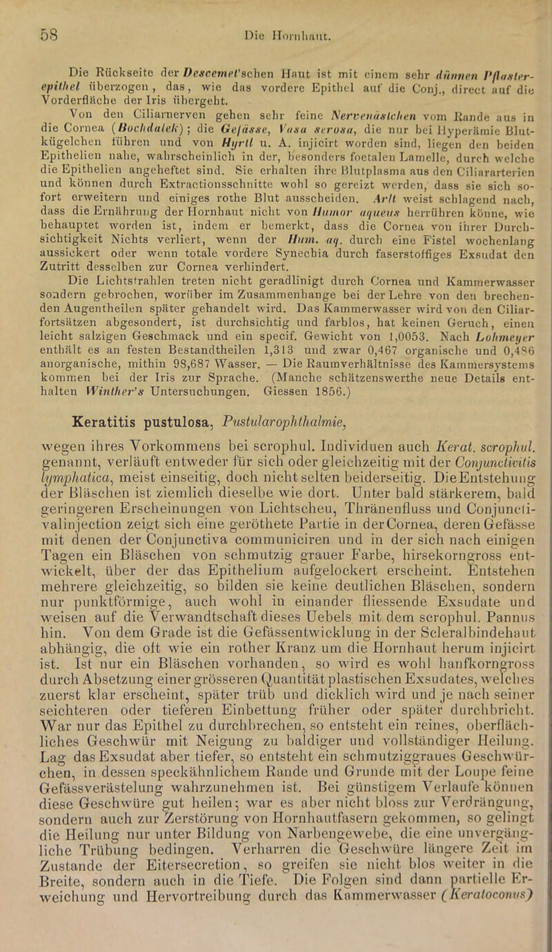 Die Rückseite der Desccrni'l’schen Hant ist mit einem sehr dünnen Vfianler- epithel überzogen, das, wie das vordere Epithel auf die Conj., direct auf die VorderflHche der Iris ühergeht. Von den Ciliarnerven gehen sehr feine Nerventhslclien vom Rande aus in die Cornea (lioclidalek) •, die Gejässe, Vana serodu, die nur bei Ilyperiltnie Blut- kügelchen tiihren und von Hyrll u. A. injicirt worden sind, liegen den beiden Epithelien nahe, wahrscheinlich in der, besonders foetalen Lamelle, durch welche die Epithelien angcheftet sind. Sie erhalten ihre Blutplasma aus den Ciliararterien und können durch Extractionsschnitte wohl so gereizt werden, dass sie sich so- fort erweitern und einiges rothe Blut ausscheiden. Arll weist schlagend nach, dass die Ernührung der Hornhaut nicht von Humor uqueuit herrühren könne, wie behauptet worden ist, indem er bemerkt, dass die Cornea von ihrer Durch- sichtigkeit Nichts verliert, wenn der Ili/m. aq. durch eine Fistel wochenlang aussickert oder wenn totale vordere Synechia durch faserstoffiges Exsudat den Zutritt desselben zur Cornea verhindert. Die Lichtstrahlen treten nicht geradlinigt durch Cornea und Kamraerwasser sondern gebrochen, worüber im Zusammenhänge bei der Lehre von den brechen- den Augentheilen später gehandelt wird. Das Kammerwasser wird von den Ciliar- fortsätzen abgesondert, ist durchsichtig und farblos, hat keinen Geruch, einen leicht salzigen Geschmack und ein specif. Gewicht von 1,0053. Nach Lolimeyer enthält es an festen Bestandtheilen 1,313 und zwar 0,467 organische und 0,4S6 anorganische, mithin 98,687 Wasser. — Die Raumverhältni.sse des Kammersystems kommen bei der Iris zur Sprache. (Manche schätzenswerthe neue Details ent- halten Winlher’s Untersuchungen. Giessen 1856.) Keratitis pustulosa, Pustularophthalmie, wegen ihres Vorkommens bei scrophul. Individuen auch Keral. scrophul. genannt, verläuft entweder für sich oder gleichzeitig mit der Conjunctkitis lymphaÜca^ meist einseitig, doch nicht selten beiderseitig. DieEntstehuiig der Bläschen ist ziemlich dieselbe wie dort. Unter bald stärkerem, bald geringeren Erscheinungen von Lichtscheu, Thränenfluss und Conjuncli- valinjection zeigt sich eine geröthete Partie in derCornea, deren Gefässe mit denen der Conjunctiva communiciren und in der sich nach einigen Tagen ein Bläschen von schmutzig grauer Farbe, hirsekorngross ent- M'ickelt, über der das Epithelium aufgelockert erscheint. Entstehen mehrere gleichzeitig, so bilden sie keine deutlichen Bläschen, sondern nur punktförmige, auch wohl in einander fliessende Exsudate und weisen auf die Verwandtschaft dieses Uebels mit dem scrophul. Pannus hin. Von dem Grade ist die Gefässentwicklung in der Scleralbindehaut abhängig, die oft wie ein rother Kranz um die Hornhaut herum injicirt ist. Ist nur ein Bläschen vorhanden, so wird es wohl hanfkorngross durch Absetzung einer grösseren Quantität plastischen Exsudates, welches zuerst klar erscheint, später trüb und dicklich wird und je nach seiner seichteren oder tieferen Einbettung früher oder später durchbricht. War nur das Epithel zu durchbrechen, so entsteht ein reines, oberfläch- liches Geschwür mit Neigung zu baldiger und vollständiger Heilung. Lag das Exsudat aber tiefer, so entsteht ein schmutziggraues Geschwür- chen, in dessen speckähnlichem Bande und Grunde mit der Loupe feine Gefässverästelung wahrzunehmen ist. Bei günstigem Verlaufe können diese Geschwüre gut heilen; war es aber nicht bloss zur Verdrängung, sondern auch zur Zerstörung von Hornhautfasern gekommen, so gelingt die Heilung nur unter Bildung von Narhengewehe, die eine unvergäng- liche Trübung bedingen. Verharren die Geschwüre längere Zeit im Zustande der Eitersecretion, so greifen sie nicht hlos weiter in die Breite, sondern auch in die Tiefe. Die Folgen sind dann partielle Er- weichung und Hervortreibung durch das Kammerwasser (Keratocomis)