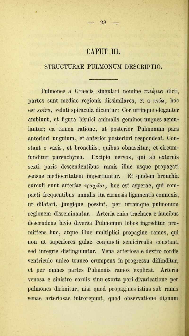 CAPUT HL STRUCTURAE PULMONUM DESCRIPTIO. Pulmones a Graecis singulari nomine tcvsujxwv dicti, partes sunt mediae regionis dissimilares, et a 7tvs&>, hoc est spiro, veluti spiracula dicuntur: Cor utrinque eleganter ambiunt, et figura bisulci animalis geminos ungues aemu- lantur; ea tamen ratione, ut posterior Pulmonum pars anteriori unguium, et anterior posteriori respondeat. Con- stant e vasis, et bronchiis, quibus obnascitur, et circum- funditur parenchyma. Excipio nervos, qui ab externis sexti paris descendentibus ramis illuc usque propagati sensus mediocritatem impertiuntur. Et quidem bronchia surculi sunt arteriae Tpa^siai, hoc est asperae, qui com- pacti frequentibus annulis ita carnosis ligamentis connexis, ut dilatari, jungique possint, per utramque pulmonum regionem disseminantur. Arteria enim trachaea e faucibus descendens bivio diversa Pulmonum lobos ingreditur pro- mittens huc, atque illuc multiplici propagine ramos, qui non ut superiores gulae conjuncti semicirculis constant, sed integris distinguuntur. Vena arteriosa e dextro cordis ventriculo unico trunco erumpens in progressu diffinditur, et per omnes partes Pulmonis ramos explicat. Arteria venosa e sinistro cordis sinu exorta pari divaricatione per pulmones dirimitur, nisi quod propagines istius sub ramis venae arteriosae introrepunt, quod observatione dignum