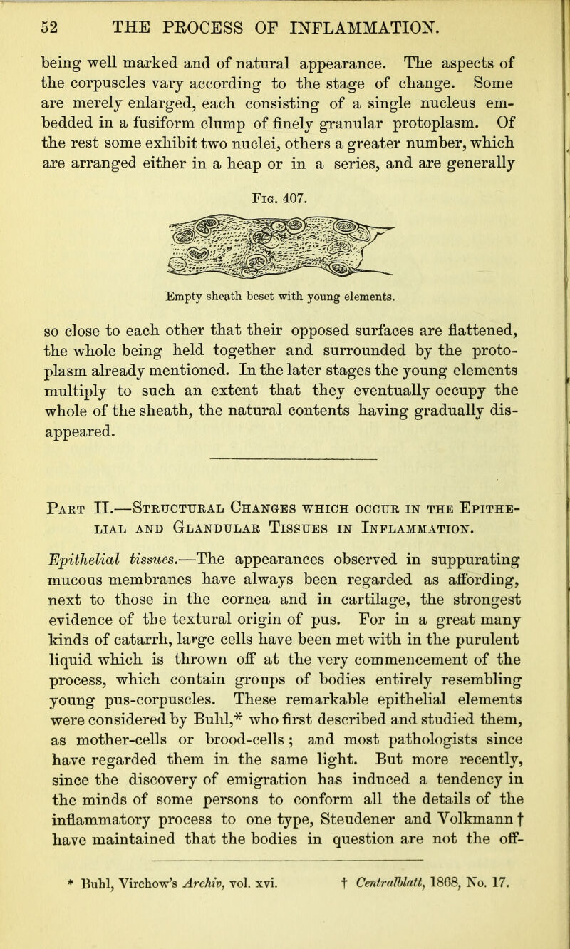 being well marked and of natural appearance. The aspects of the corpuscles vary according to the stage of change. Some are merely enlarged, each consisting of a single nucleus em- bedded in a fusiform clump of finely granular protoplasm. Of the rest some exhibit two nuclei, others a greater number, which are arranged either in a heap or in a series, and are generally Fig. 407. Empty sheath beset with young elements. so close to each other that their opposed surfaces are flattened, the whole being held together and surrounded by the proto- plasm already mentioned. In the later stages the young elements multiply to such an extent that they eventually occupy the whole of the sheath, the natural contents having gradually dis- appeared. Part II.—Structural Changes which occur in the Epithe- lial and Glandular Tissues in Inflammation. Epithelial tissues.—The appearances observed in suppurating mucous membranes have always been regarded as affording, next to those in the cornea and in cartilage, the strongest evidence of the textural origin of pus. For in a great many kinds of catarrh, large cells have been met with in the purulent liquid which is thrown off at the very commencement of the process, which contain groups of bodies entirely resembling young pus-corpuscles. These remarkable epithelial elements were considered by Buhl,* who first described and studied them, as mother-cells or brood-cells ; and most pathologists since have regarded them in the same light. But more recently, since the discovery of emigration has induced a tendency in the minds of some persons to conform all the details of the inflammatory process to one type, Steudener and Volkmannf have maintained that the bodies in question are not the off- * Buhl, Virchow’s Archiv, vol. xvi. t Centralblatt, 1868, No. 17.