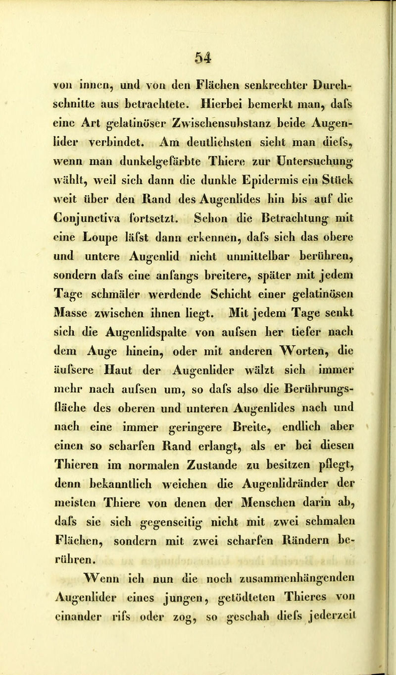 von innen, und von den Flächen senkrechter Durch- schnitte aus betrachtete. Hierbei bemerkt man, dafs eine Art gelatinöser Zwischensubstanz beide Augen- lider verbindet. Am deutlichsten sieht man diefs, wenn man dunkelgefärbte Thiere zur Untersuchung wählt, weil sich dann die dunkle Epidermis ein Stück weit über den Rand des Augenlides hin bis auf die Conjunctiva fortsetzt. Schon die Betrachtung mit eine Loupe läfst dann erkennen, dafs sich das obere und untere Augenlid nicht unmittelbar berühren, sondern dafs eine anfangs breitere, später mit jedem Tage schmäler werdende Schicht einer gelatinösen Masse zwischen ihnen liegt. Mit jedem Tage senkt sich die Augenlidspalte von aufsen her tiefer nach dem Auge hinein, oder mit anderen Worten, die äufsere Haut der Augenlider wälzt sich immer mehr nach aufsen um, so dafs also die Berührungs- lläclie des oberen und unteren Augenlides nach und nach eine immer geringere Breite, endlich aber einen so scharfen Rand erlangt, als er bei diesen Thieren im normalen Zustande zu besitzen pflegt, denn bekanntlich weichen die Augenlidränder der meisten Thiere von denen der Menschen darin ah, dafs sie sich gegenseitig nicht mit zwei schmalen Flächen, sondern mit zwei scharfen Rändern be- rühren. Wenn ich nun die noch zusammenhängenden Augenlider eines jungen, getödteten Thieres von einander rifs oder zog, so geschah diefs jederzeit