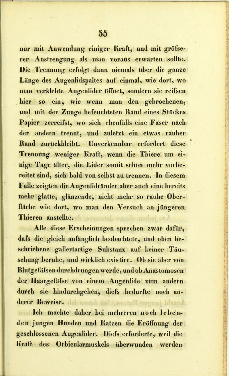 nur mit Anwendung einiger Kraft, und mit gröfse- rer Anstrengung als man voraus erwarten sollte. Die Trennung erfolgt dann niemals über die ganze Länge des Augenlidspaltes auf einmal, wie dort, wo man verklebte Augenlider öffnet, sondern sie reifsen hier so ein, wie wenn man den gebrochenen, und mit der Zunge befeuchteten Rand eines Stückes Papier zerreifst, wo sieb ebenfalls eine Faser nach der andern trennt, und zuletzt ein etwas rauher Rand zurückbleibt. Unverkennbar erfordert diese Trennung weniger Kraft, wenn die Thiere um ei- nige Tage älter, die Lider somit schon mehr vorbe- reitet sind, sich bald von selbst zu trennen. In diesem Falle zeigten die Augenlidränder aber auch eine bereits mehr glatte, glänzende, nicht mehr so raube Ober- fläche wie dort, wo man den Versuch an jüngeren Thieren anstellte. Alle diese Erscheinungen sprechen zwar dafür, dafs die gleich anfänglich beobachtete, und oben be- schriebene gallertartige Substanz auf keiner Täu- schung beruhe, und wirklich existire. Ob sie aber von Blutgefäfsen durchdrungen werde, und ob Anastomosen der Haargefäfse von einem Augenlide zum andern durch sie hindurchgehen, diefs bedurfte noch an- derer Re weise. Ich machte daher hei mehreren noch leben- den jungen Hunden und Katzen die Eröffnung der geschlossenen Augenlider. Diefs erforderte, weil die Kraft des Orbicularmuskels überwunden werden