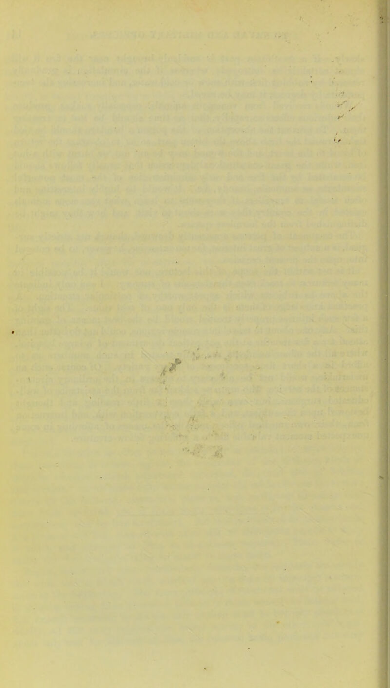 1 - V ' tf l » n • _