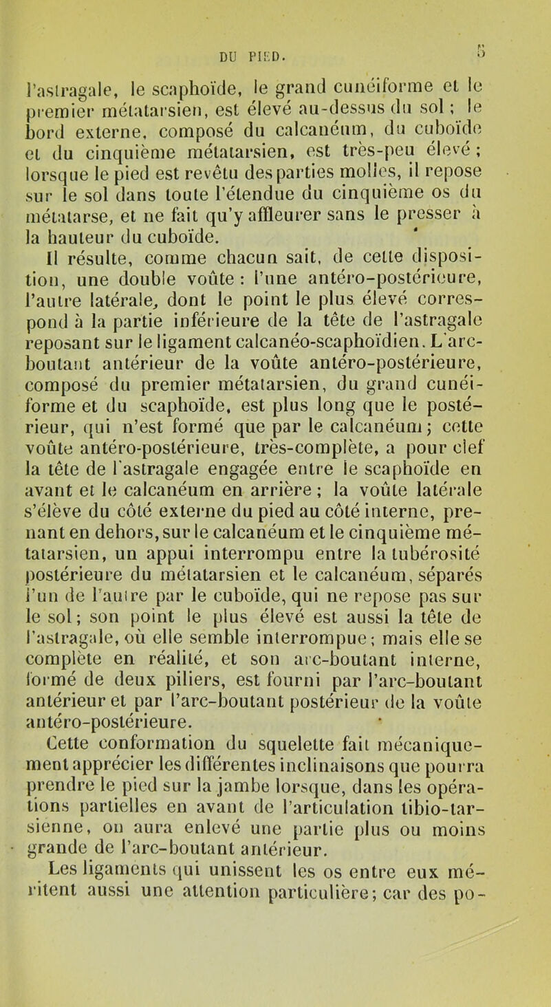 l’asiragale, le scaphoïde, le grand cunéiforme el le premier rnélalai’sien, est élevé au-dessus du sol ; le bord externe, composé du calcanéum, du cuboïde et du cinquième métatarsien, est très-peu élevé ; lorsque le pied est revêtu des parties molles, il repose sur le sol dans toute l’étendue du cinquième os du métatarse, et ne fait qu’y affleurer sans le presser à la hauteur du cuboïde. Il résulte, comme chacun sait, de cette disposi- tion, une double voûte: l’une antéro-postérieure, l’autre latérale, dont le point le plus élevé corres- pond à la partie inférieure de la tête de l’astragale reposant sur le ligament calcanéo-scaphoïdien. L'arc- boutant antérieur de la voûte antéro-postérieure, composé du premier métatarsien, du grand cunéi- forme et du scaphoïde, est plus long que le posté- rieur, qui n’est formé que par le calcanéum; cette voûte antéro-postérieure, très-complète, a pour clef la tête de l'astragale engagée entre le scaphoïde en avant el le calcanéum en arrière ; la voûte latérale s’élève du côté externe du pied au côté interne, pre- nant en dehors, sur le calcanéum et le cinquième mé- tatarsien, un appui interrompu entre la tubérosité postérieure du métatarsien et le calcanéum, séparés i’un de l’auire par le cuboïde, qui ne repose pas sur le sol; son point le plus élevé est aussi la tête de l’astragale, où elle semble interrompue; mais elle se complète en réalité, et son arc-boutant interne, formé de deux piliers, est fourni par l’arc-boutant antérieur et par l’arc-boutant postérieur de la voûte antéro-postérieure. Cette conformation du squelette fait mécanique- ment apprécier les différentes inclinaisons que poui ra prendre le pied sur la jambe lorsque, dans les opéra- tions partielles en avant de l’articulation tibio-tar- sienne, on aura enlevé une partie plus ou moins grande de l’arc-boutant antérieur. Les ligaments qui unissent les os entre eux mé- ritent aussi une attention particulière; car des po-