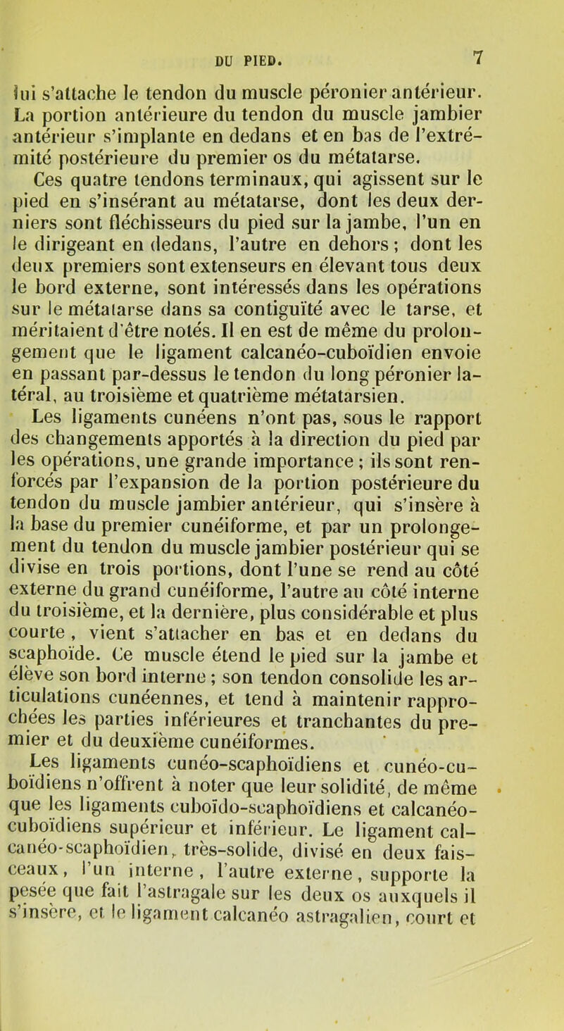 lui s’allache le tendon du muscle péronier antérieur. La portion antérieure du tendon du muscle jambier antérieur s’implante en dedans et en bas de l’extré- mité postérieure du premier os du métatarse. Ces quatre tendons terminaux, qui agissent sur le pied en s’insérant au métatarse, dont les deux der- niers sont fléchisseurs du pied sur la jambe, l’un en le dirigeant en dedans, l’autre en dehors ; dont les deux premiers sont extenseurs en élevant tous deux le bord externe, sont intéressés dans les opérations sur le métaiarse dans sa contiguïté avec le tarse, et méritaient d’être notés. Il en est de même du prolon- gement que le ligament calcanéo-cuboïdien envoie en passant par-dessus le tendon du long péronier la- téral, au troisième et quatrième métatarsien. Les ligaments cunéens n’ont pas, sous le rapport des changements apportés à la direction du pied par les opérations, une grande importance ; ils sont ren- forcés par l’expansion de la portion postérieure du tendon du muscle jambier antérieur, qui s’insère à la base du premier cunéiforme, et par un prolonge- ment du tendon du muscle jambier postérieur qui se divise en trois portions, dont l’une se rend au côté externe du grand cunéiforme, l’autre au côté interne du troisième, et la dernière, plus considérable et plus courte , vient s’attacher en bas et en dedans du scaphoïde. Ce muscle étend le pied sur la jambe et élève son bord interne ; son tendon consolide les ar- ticulations cunéennes, et tend à maintenir rappro- chées les parties inférieures et tranchantes du pre- mier et du deuxième cunéiformes. Les ligaments cunéo-scaphoïdiens et cunéo-cu~ boïdiens n’offrent à noter que leur solidité, de même • que les ligaments cuboïdo-scaphoïdiens et calcanéo- cuboïdiens supérieur et inférieur. Le ligament cal- cunéo-scaphoïdien, très-solide, divisé en deux fais- ceaux, I un interne, 1 autre externe, supporte la pesée que fait l’astragale sur les deux os auxquels il .s insère, et le ligament calcanéo astragalien, court et