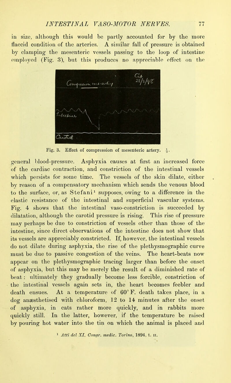 in size, although this would be partly accounted for by the more flaccid condition of the arteries. A similar fall of pressure is obtained by clamping the mesenteric vessels passing to the loop of intestine employed (Fig. 3), but this produces no appreciable effect on the Fig. 3. Effect of compression of mesenteric artery. general blood-pressure. Asphyxia causes at first an increased force of the cardiac contraction, and constriction of the intestinal vessels which persists for some time. The vessels of the skin dilate, either by reason of a compensatory mechanism which sends the venous blood to the surface, or, as Stefani1 supposes, owing to a difference in the elastic resistance of the intestinal and superficial vascular systems. Fig. 4 shows that the intestinal vaso-constriction is succeeded by dilatation, although the carotid pressure is rising. This rise of pressure may perhaps be due to constriction of vessels other than those of the intestine, since direct observations of the intestine does not show that its vessels are appreciably constricted. If, however, the intestinal vessels do not dilate during asphyxia, the rise of the plethysmographic curve must be due to passive congestion of the veins. The heart-beats now appear on the plethysmographic tracing larger than before the onset of asphyxia, but this may be merely the result of a diminished rate of beat: ultimately they gradually become less forcible, constriction of the intestinal vessels again sets in, the heart becomes feebler and death ensues. At a temperature of 60° F. death takes place, in a dog anaesthetised with chloroform, 12 to 14 minutes after the onset of asphyxia, in cats rather more quickly, and in rabbits more quickly still. In the latter, however, if the temperature be raised by pouring hot water into the tin on which the animal is placed and Atti del XI. Congr. medic. Torino, 1894, t. ii.