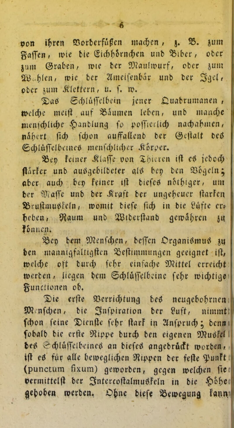 pon ihren Vorberfuflcn machen, j. 55. jum gaffen, wie tie ®id)hornd)en unb 55iber, ober jum (graben, wie ber Maulwurf, ober jum Stellen, wie ber 2(meifen bar unb ber Sgdr ober jum klettern, u. f. w. 0d;lüffelbein jener £uabrumanen , welche meiff auf Daumen leben/ unb manche inen|d)lui)c £)anfclung fo poffücrltcb naebabmen, papert fid) fd;on auffattenb ber ©eftalt betf 0c^lüffcIbeine0 menfd;lid)er dibrper. 55ep feiner klaffe pon Xpiercn ifl etf jebcch flarfcr unb audgebilbefer altf bep ben Vögeln; «ber aud; bep feiner ift tiefet notier, um ber ?&affe unb ber jfraft ber ungeheuer flarFcn Vruffmupfeln, womit tiefe fief) in bie £ufte er? beben, 9iaum unb 2&iberffanb gewahren jt( fonnen. 55cp bem 9flenfd)en, beffen Organismus* ju ben mannigfaltigffcn VcfHmmungcn geeignet ift, welche oft brnd) febr einfache Mittel erreiefjt werben/ liegen bem 0chluffelbcine fe^r wichtige gunctionen ob, S)ie erffe Verrichtung beS neugebebrnen | Sttnfdjen, bie ^nfpirarion ber £uft, nimmt:! fd)on feine Xücnfte fefjr (farf in 2lnfprucf;; benmi fobalb bie erfte 9tippe bureb ben eigenen VfuSfef beS ^(bluffclbeineS an biefeS angebrueft worben * iff cS für alle beweglichen 9?ippcn ber feffe ^unFt ü (punctum fkum) geworben, gegen welchen fte '! permitteljf ber SfntercoftalmuSFeln in bie ^>of>e t! gehoben werben. Ohne tiefe Bewegung fann. i