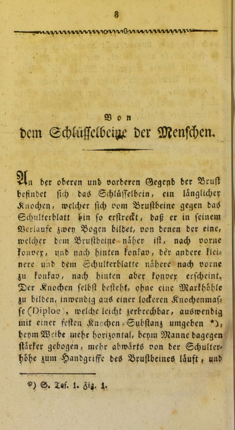 i**flu'yvvvyvVvvyvvV)wwOfvi^A/yvvvi/vvv* *^ 83 o n . tcm ®d)iüffc(Dciifce t>er üttenfcfjen. ^r> ber oberen unb vorberen ©egcub ber 85rufl beftnbet ficf> bß$ ©cl;(u|felbcin, cm langltd>cv Knochen, rochier f(d> vom ^ruflbcine gegen bap ©chulterblatt bin fo erflrecft, baß er in feinem ©erlaufe jivep. S£ogcn bilbet, non benen ber eine, welcher bem ©rufibciite naher i(l, nach vorne Fonvejf, nnb nach hinten FonFav, ber anbere FlcU nere unb bem 0ihuIterblatte nähere nach vorne au FonFav, nach hinten abee Fonve); erfcheint* 2>er Knochen felbfl befiehl ohne eine SDtarFbohte au bilben, intvenbig autf einer loderen $nod;enmaf? fe (Qiploe),. ir»cld>c leicht jerbrechbar, autftvenbig mit einer feilen furchen ? 0ub(Fanj umgeben *), bepm^B.’ibe mehr horizontal, bepm 9)?anne bagegen ftarFer gebogen, mehr abwartö von ber 0d)ultcr* hohe jum §anbgriffc be$ s#ru{tbeineö lauft , unb -—-— : —— *) ©. Xaf. 1. öU- 1.