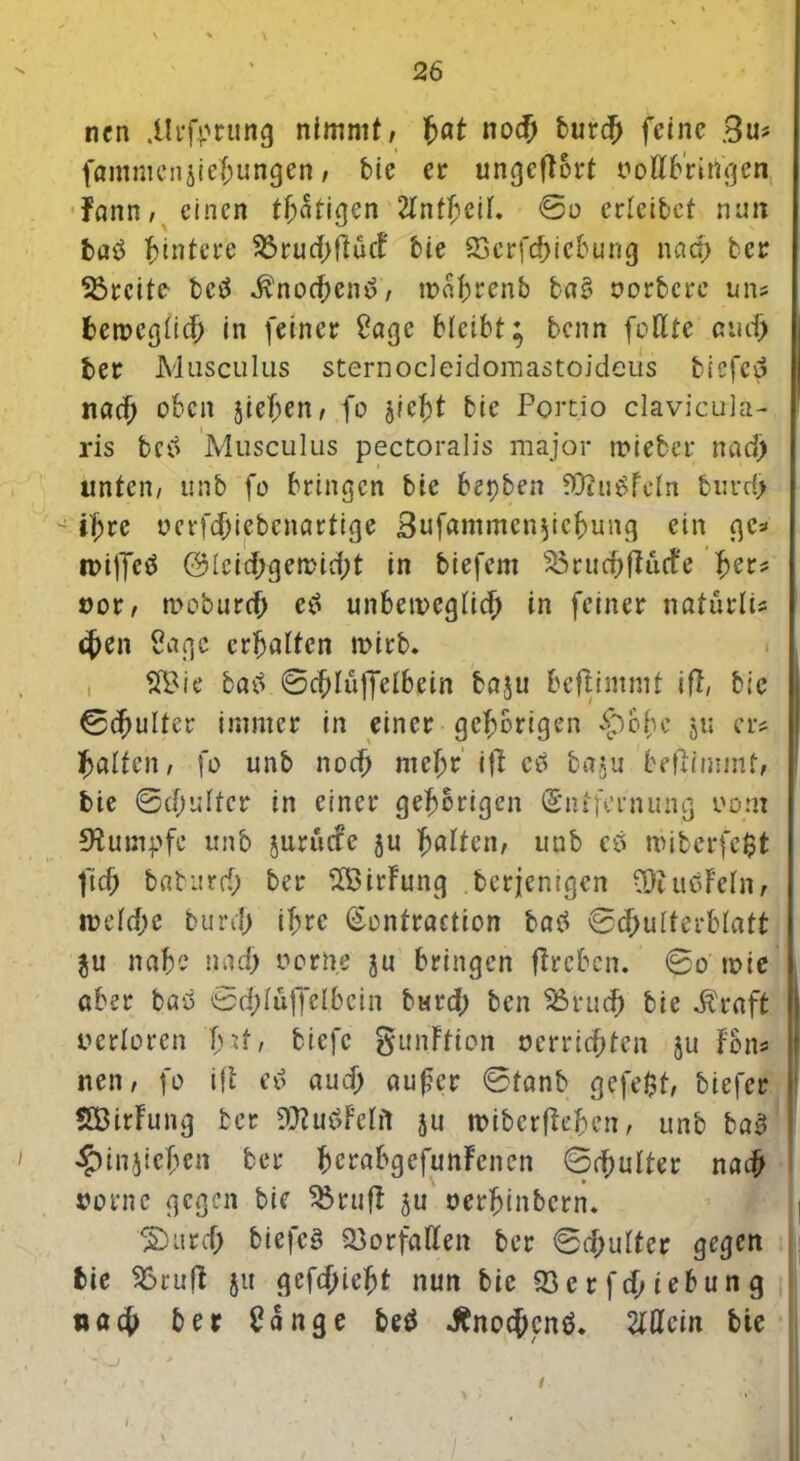 ' \ X nen .Urfprung nimmt, tat nod) burch feine Bu* fammcnjlejungen, bie er ungcfFort vollbringen Fann, einen tätigen 2lnfheil. ©o erleibct nun ba£ Hintere Sörudjftüd' bie SDcrfchiebung nad) ber Geeite betf $nochcn£, tna^cenb ba£ vorbere uns berocglid; in feiner Sage bleibt; benn füllte and) ber Musculus sternodeidomastoideiis biefeu nach oben }ief;en, fo jicl;t bie Portio clavicula- ris bci> Musculus pectoralis major tvieber nad) unten, unb fo bringen bie bepben 9D?ugfcln burd) ihre oerfdfiebenartige 3ufammen$iehung ein gc* n>i|Tctf @(cid;gemid;t in biefem SöruchfMcFe f)er? vor, tvoburd) e£ unbetveglid) in feiner naturlu chen Sage erhalten mirb. $£ie batf ©chlüffelbcin baju beftintmt ifl, bie ©cfjulfer immer in einer gehörigen £>ohe ju er* halten, fo unb noch mehr ifF cö baju bepimmt, bie ©d;ulfcr in einer gehörigen (Entfernung vom Stumpfe unb jurüere ju halten, unb eö ituberfc$t fich bflbarrf; ber SBirFung berjentgen fOrucFeln, n>eld;c burd) ihre Sontraction batf ©d)ulterblatt $u nahe nach vorne ju bringen fFrcbcn. ©o tvie aber bab ©d;lüffelbcin burd; ben 25rud) bie $raft verloren T>at, biefe gunFtion verrichten ju Fon« nen, fo ift e» auch aufer ©tanb gcfe$t, biefer SBirFung ber fÜtuöFelit ju tviberfFehen, unb bab ^injiehen ber hcrabgefunFenen ©chulter nach \ i vorne gegen bie 25ru|t ju verhinbern. 5)urd> biefcS Vorfällen ber ©d;ulter gegen bie 95rufF ju gefdjieht nun bie 33 e r fd; iebun g «ach ber £ange be$ .Änochcnö. Allein bie ' > x\ •