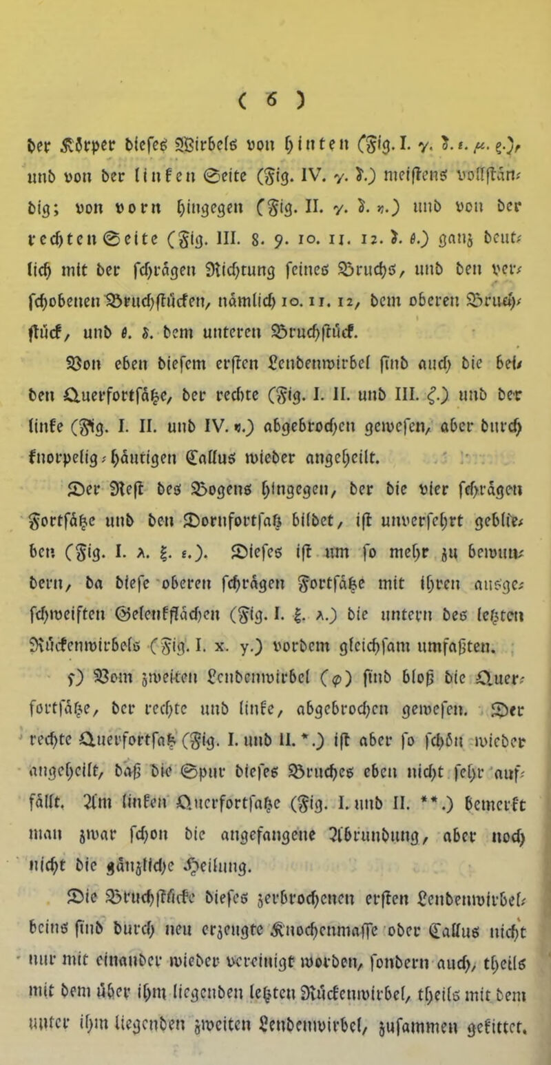 ( « ) J>er Körper biefeß S&irbelß von f; inten (§i$. I. y. $. t. ft. g.), unb von ber linfen 0eite ($ig. IV. y. 5“.) nietflensf vodftdn? big; von vorn hingegen C$ig* H. y. v.) unb von ber vcdjten 0eite (§tg. III. 8. 9. 10. u. 12. >. fl.) ganj beut? lid) mit bei* fdjrageu 9tid)tung fcüteß Sßruchß, unb ben ver? f<hobeuen95rud)flöcfen/ ttdmlid) 10.11.12, bem oberen 23ru«h? 1 ftuef, unb fl. s. bem unteren SÖrudfrucf. 93on eben biefem elften £cnbemvirbel ftnb aud; bie bei? ben Q.uerfortfdbe, ber rechte ($ig. I. II. unb III. £.) unb bet linfe (S^g. I. II. unb IV. «.) abgebrodfeu gemefen, aber burcf; fnorpelig; häutigen (£alluß nueber angeßeilt. Aer Steft beß 33ogenß hingegen, ber bie vier fdfdgeu ^ortfd^e unb ben Aornfortfaß biibet, ift unverfchrt geblfe? ben (§ig. I- *• I- *.)• ©iefeß ift um fo mehr j« beimni? bern, ba biefe oberen fdjrdgeu ftortfälje mit ihren attßge? fdjrociften ©eteufffädjen ($ig. I. |. a.) bie untern beß lebten 9\i5cfenmirbe(ß (#ig.1* x- y-) vorbem gfeidjfam umfaßten. f) Söont jiveken Scnbemvirbcl (<p) ftnb bloß bie £fuer? fortfäbe, bcr rechte unb linfe, abgcbrod;cn gemefen. An- rechte £luerfortfa& (§ig. I. unb II.*.) ift aber fo fd)öu micber angehcilt, baß bie 0pur biefeß SÖrucheß eben nid)t fef>r auf fallt, 2im linfen £>ucrfortfa(je ($ig. I. unb II. **.) bemeift man jmar fdjon bie angefangene 2lbruubung, aber uod) nicht bie g5ttjfid)e Teilung. Aie 93t,uchf?fi(fe biefeß jerbrochenen erfreu £enbenmfrbc(? beinß (Tub burd; neu erzeugte ^uochenmaffe ober £attuß nicht nur mit einauber mieber vereinigt worben, foitbern aud>, thetlß mit bem über ihm liegenben lebten Stucfenmirbel, theilß mit bem unter ihm Itegcuben jmeiten Seubcmvivbel, jufammen gefittet,