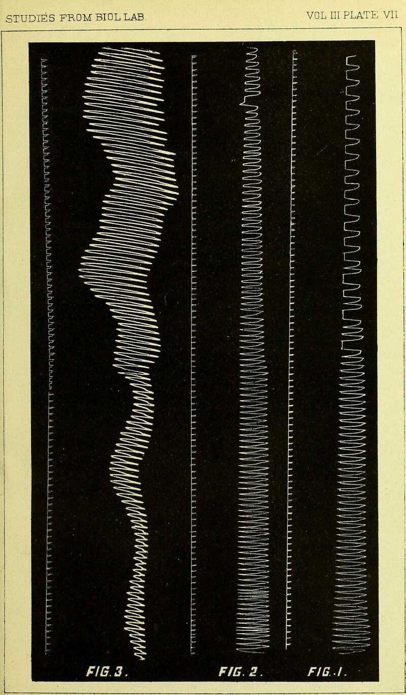 irv''rTV^TFFVVPnnj vXTVIUVTTVPTOTVVUf TT STUDIES FROM BIOL LAB