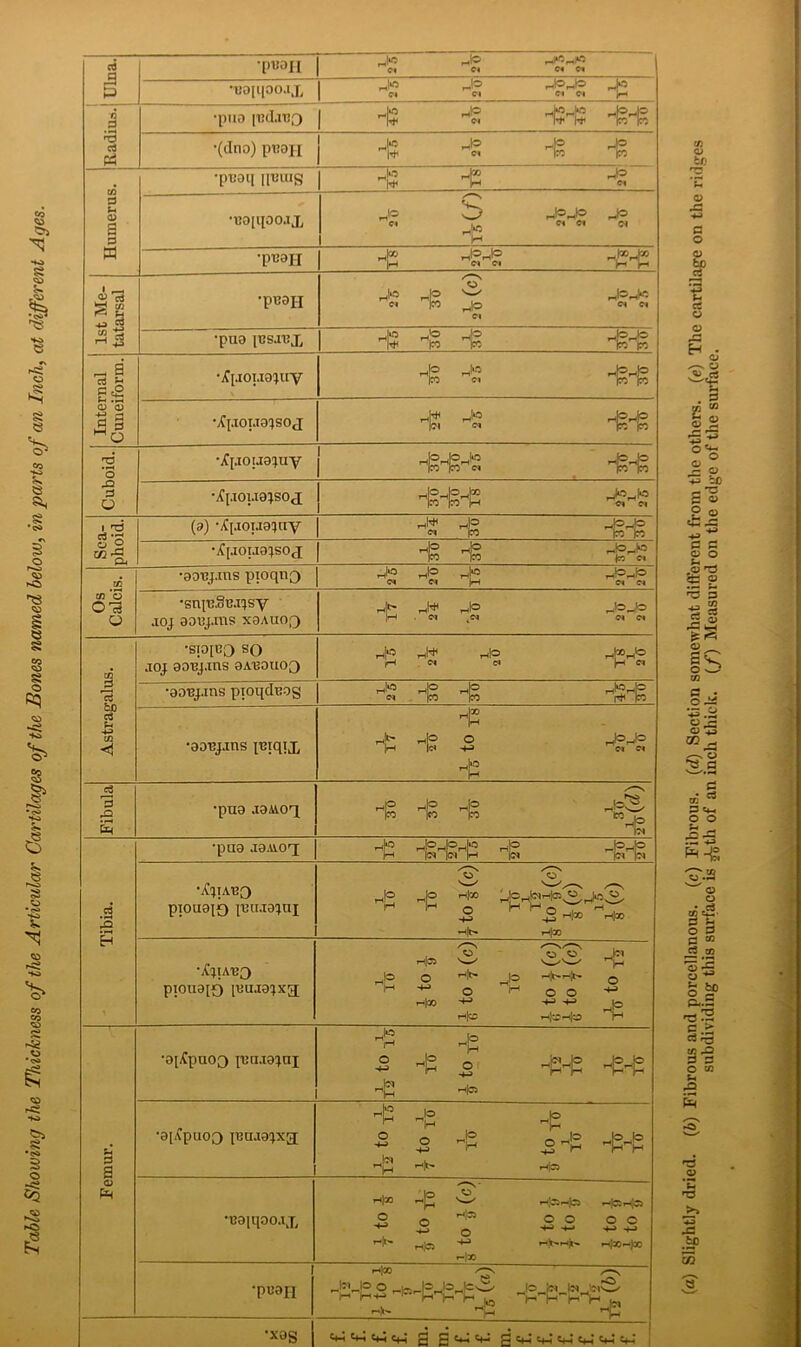 Table Showing the Thickness of the Articular Cartilages of the Bones named below, in parts of an Inch, at different Ages. rt ■pBaH is Jo C4 r-/Gr*Q Cl Cl rd P •uo[i[oo.ix 1 HJ ei Cl Cl is « •puo [Bdauo I H5 j® C*l HSHS HSHS 'd ri PS •(dno) pBOH HS HS HS # •pTJ0l[ I[t3UIg Jo is Jo Cl d 03 s d •BD[qooax Cl /•—s b H3 Jojo Cl Cl HS w ■pB9II H HSHS H?H2 *7 03 -PB9H HS Jo Cl Cl Cl 03 d M •pua ps.rex HS HS HS - g a m Fj e2 •jC[.IOI.I0^UV HS Cl -g-g a; iu |0 Mo •XpiOI.TO’JSOtl HS h!*0 Cl ^HS T2 • *-* O •Xpoua^uy i l 25 -^HS d U •^[.lOUOJSOJ HSHSH3 C| Cl i t5 d *d (a) -A'[.iouo^uy ox HS ° 2 CO -S •^[.ioua^soj HS HS Jr: ci 03 •00Ujans pioqnQ JO IN H5 Cl Cl 03 O o ■a o •snpjSL'.nsy aoj ooiy.ms xoauoq HS rtW C-l rnl® Jojo Cl Cl 03 •sio[BO so ,ioj aoiy.ms 0A130UOO H2 J* PI Hi© d HSHS Astragali •oory.ms pioqchiog Jo Cl HS HS HSHS •aoBjans pjiqix rtH HS is o is rpj* Cl Cl e3 d £ •pn9 .xoAvoq HS HS HS IT) •puo joavot; HS HSH3H5 HS HSHS .2 3 •jC^tabo piouaio [bu.i3;ui JR H H2 Hco O -4-3 •H|(> _2 --i® H=o EH •X;iabo pioua[o [aaaa^xa H2 r-l[35 O •+J 1H|Q0 -W' r-l[p- o +3 rHfc jo H o o -4-3 -4-3 H®-4® Jw H O -4-3 H5 *0[jCpuoo lua.ia^aj H2 o +3 H5 r-,Q H O -*-> H3H2 ^H2 H2 Ha 3 a •0[£puoQ pia.ia^xg; HS O -4-3 H _!o H o ■+J H H2 oJ2 ■4-3 ^ r4jC3 -e-g 03 •B0[qoo.ix r4}X o ■4-3 r-'jt'- H2 o into N- o Hj33 O -1-3 o o -4-3 -4_J i-<SSr<0 o o -tJ +-> 1 •pu0H H® Jw to o i—' M4-> •’ n)t- H3H2 JevS His /—N . , , , lO ^ H H H Jj, T- •xog <4-1 4-i C+J S B f. f. m. f. f. f. f. f. f. tfi *2 o d o be a a o o . d O o **-• sS -(J iO C O 2 ® c ® a o a 'd «£ a ^5 5 ■{3 « !■§ a ^ ES o O in g~ 03 O .*j g a d rt d C4_ o o u _ £5 'Svs w a o sf o 3 0 03 Jd ,® O Ig o ^ s *> Ql.d T3 .h d #> d rj-J 03 rO d d o 03 h rd .2 *5 r3 -d fcp 55