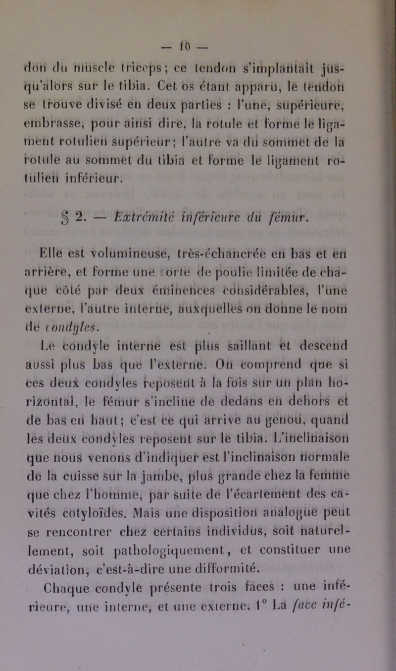 flou (lu riiüsclc Irlcops; ce (endoii s’implarilail jiis- fju’albrs sur le tibia. Cet os étant apparu, le leitclon se trouve divisé en deux parties : l’une, supérieure, end3rasse, pour ainsi dire, la rotule et Forme le liga- luent rolulien supérieur; l’autre va dii sommet de la rotule au sommet du tibia et Forme le üj^ament ro- tulleti inférieur. § 2. — Exirémilé inférieure du fémur. Elle est volumineuse, très-écliancrée en bas et en ar^ière, et forme une rorle de poulie limitée de cba- (jue C(jlé par deux éminences considérables, l’une externe, l’autre interne, auxcjuélics on donne le nom dé Londijlcs. I.e condyle interne est plus saillant et descend aussi plus bas que l’externe. On comprend que si ces deux condyles reposetU à la fois sur Un plflfj lio- rizonlal, le fémur s’incline de dedans eii dehors et de bas eii liant; c’est ce qui arrive au genou, quand les deux condyles reposent sur le tibia. L’inclinaison que nous venons d’indiquer est l’inclinaison riormalë de la cuisse sur la jambe, plus grande chez la femme que chez l’homme, par suite de l’écartement des ca- vités cotyloïdes. Mais une disposition analogue peut se rencontrer chez certains individus, soit naturel- lement, soit pathologiquement, et constituer une déviation, c’est-à-dire une difformité. Chaque condyle présente trois faces : une infé- rieure, une inlerne, et une cxiei ne. 1° La face iufé-