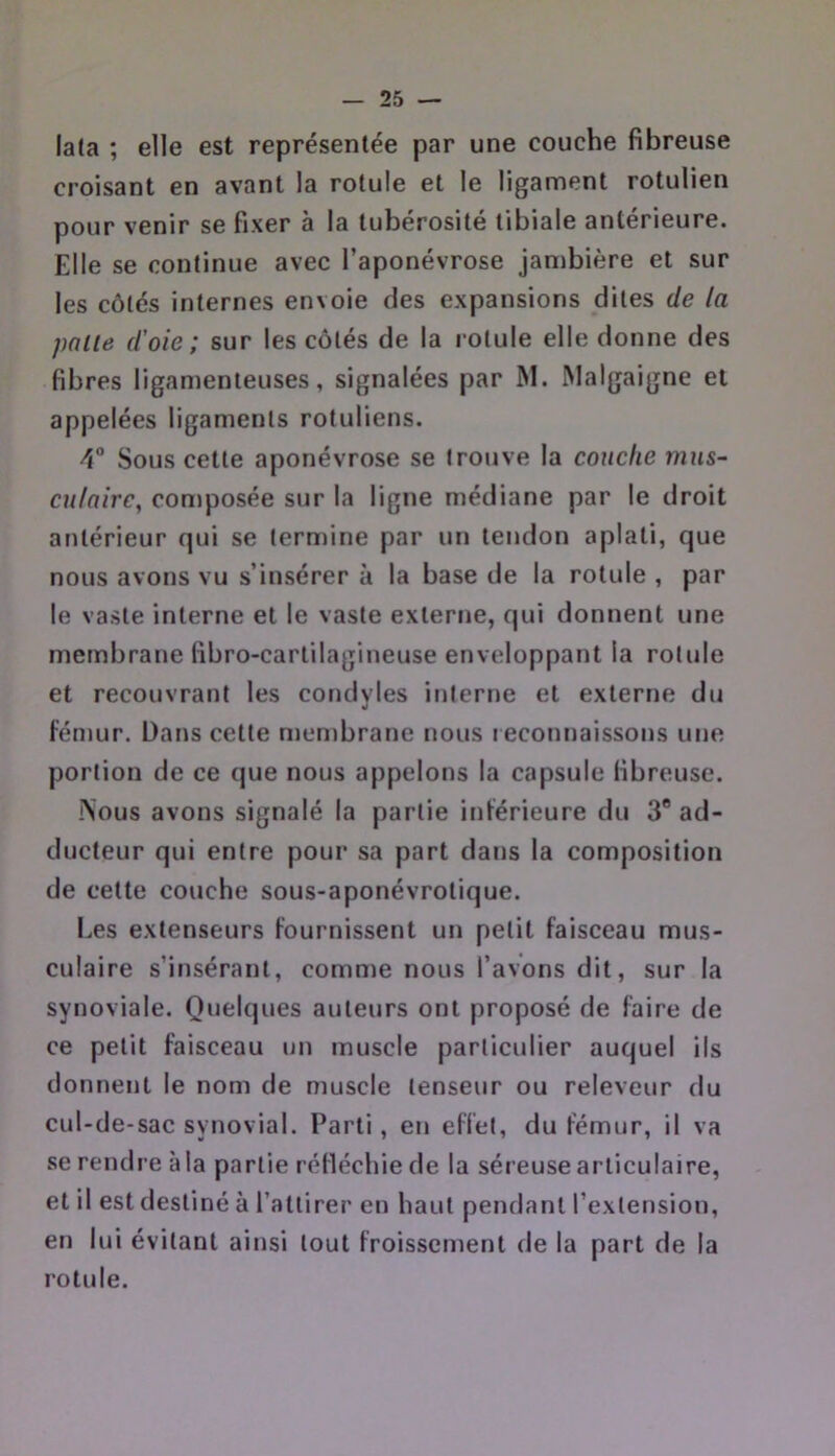 lata ; elle est représentée par une couche fibreuse croisant en avant la rotule et le ligament rotulien pour venir se fixer à la tubérosité tibiale antérieure. Elle se continue avec l’aponévrose jambière et sur les côtés internes envoie des expansions dites de la pâlie d'oie; sur les côtés de la rotule elle donne des fibres ligamenteuses, signalées par RI. Malgaigne et appelées ligaments rotuliens. 4 Sous cette aponévrose se trouve la couche înus~ ciliaire^ con)posée sur la ligne médiane par le droit antérieur qui se termine par un tendon aplati, que nous avons vu s’insérer à la base de la rotule , par le vaste interne et le vaste externe, qui donnent une membrane fibro-cartilagineuse enveloppant la rotule et recouvrant les condyles ititerne et externe du fénmr. Dans cette membrane nous reconnaissons une portion de ce que nous appelons la capsule fibreuse. iVous avons signalé la partie intérieure du 3 ad- ducteur qui entre pour sa part dans la composition de cette couche sous-aponévrotique. I.es extenseurs fournissent un petit Faisceau mus- culaire s’insérant, comme nous l’avons dit, sur la synoviale. Quelques auteurs ont proposé de faire de ce petit faisceau un muscle particulier auquel ils donnent le nom de muscle tenseur ou releveur du cul-de-sac synovial. Parti, en effet, du fémur, il va se rendre à la partie réfléchie de la séreuse articulaire, et il est destiné à l’attirer en haut pendant l’extension, en lui évitant ainsi tout froissement de la part de la rotule.