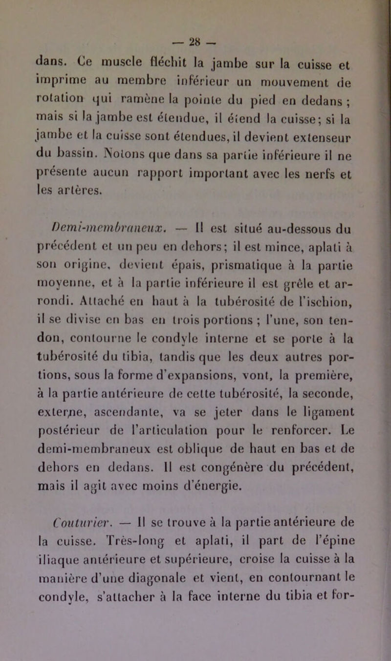 dans. Ce muscle (lécliit la jambe sur la cuisse et imprime au membre inférieur un mouvement de rotation qui ramène la pointe du pied en dedans ; mais si la jambe est étendue, il étend la cuisse; si la jambe et la cuisse sont étendues, il devient extenseur du bassin. Notons que dans sa partie inférieure il ne présente aucun rapport important avec les nerfs et les artères. Oemi-mcmùraneux. — il est situé au-dessous du précédent et un peu en dehors; il est mince, aplati à son orijjine, devient épais, prismatique à la partie moyenne, et à la partie inférieure il est grêle et ar- rondi. Attaché en haut à la tubérosité de l’ischion, il se divise en bas en trois portions ; l’une, son ten- don, contourne le condyle interne et se porte à la tubérosité du tibia, tandis que les deux autres por- tions, sous la forme d’expansions, vont, la première, à la partie antérieure de cette tubérosité, la seconde, exter/ie, ascendante, va se jeter dans le ligament postérieur de l’articulation pour le renforcer. I.e demi-membraneux est oblique de haut en bas et de dehors en dedans. Il est congénère du précédent, mais il agit avec moins d’énergie. Couturier. — Il se trouve à la partie antérieure de la cuisse. ’Frès-long et aplati, il part de l’épine iliaque antérieure et supérieure, croise la cuisse à la manière d’une diagonale et vient, en contournant le condvle, s’attacher à la face interne du tibia et for- y ^