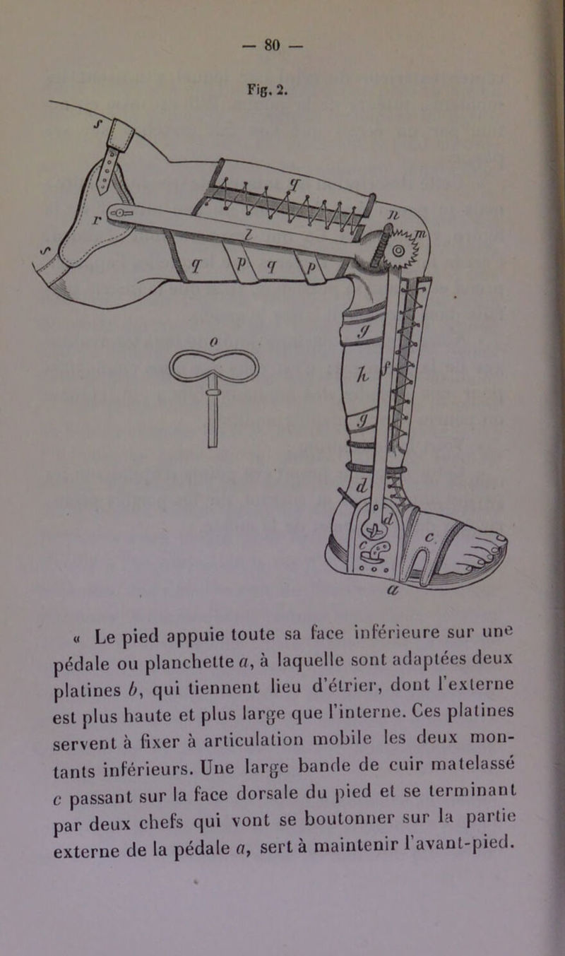 Fig. 2. « Le pied appuie toute sa face inférieure sur une pédale ou planchette f/, à laquelle sont adaptées deux platines />, qui tiennent lieu d’étrier, dont l’externe est plus haute et plus large que l’interne. Ces platines servent à fixer à articulation mobile les deux mon- tants inférieurs. Une large bande de cuir matelassé c passant sur la face dorsale du pied et se terminant par deux chefs qui vont se boutonner sur la partie externe de la pédale n, sert à maintenir l’avant-pied.