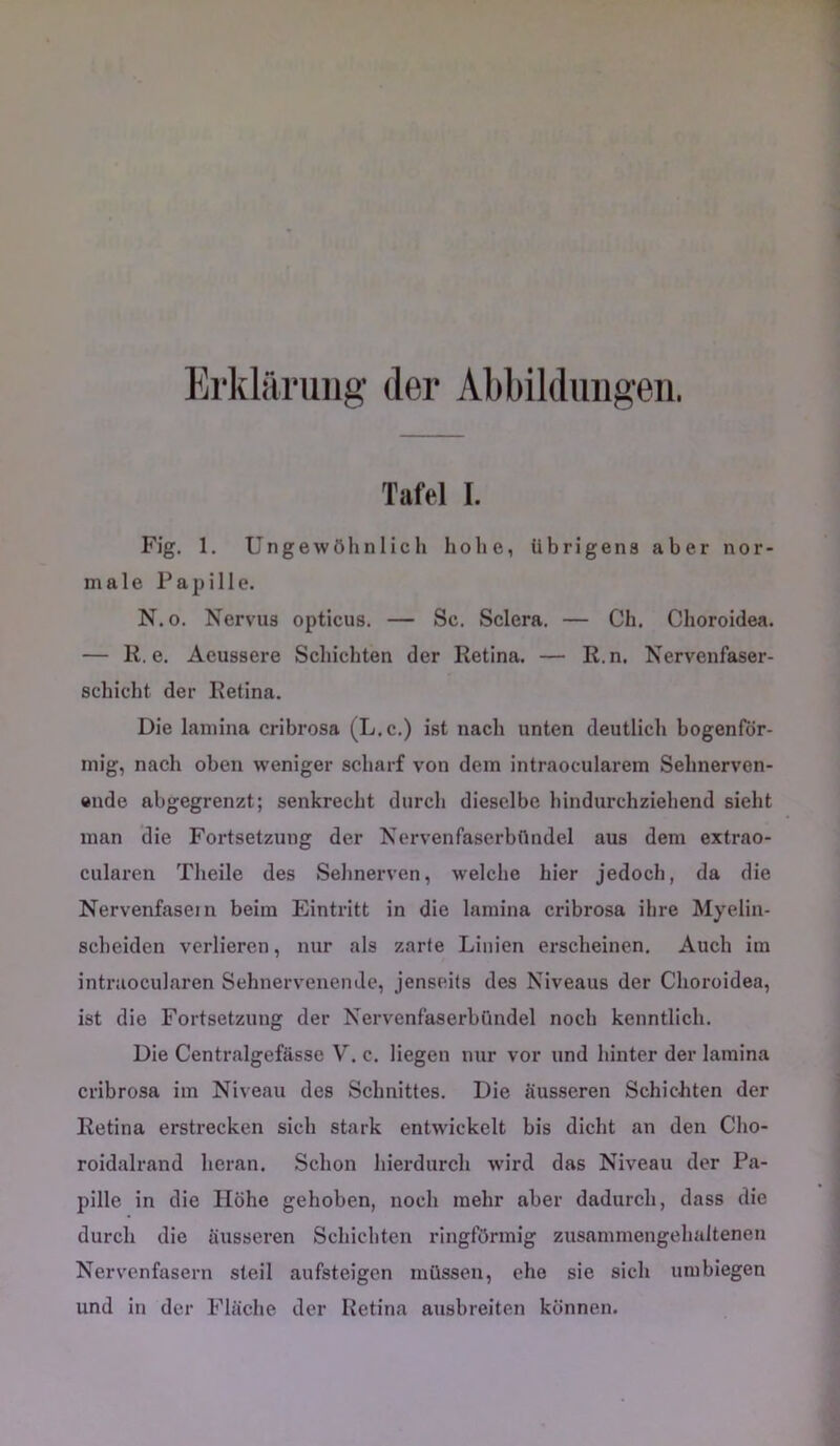 Erklärung der Abbildungen. Tafel I. Fig. 1. Ungewöhnlich hohe, Übrigena aber nor- male Papille. N.o. Nervus opticus. — Sc. Sclera. — Ch. Choroidea. — K. e. Acussere Schichten der Retina. — R.n. Nervenfaser- schicht der Retina. Die lamina cribrosa (L.c.) ist nach unten deutlich bogenför- mig, nach oben weniger scharf von dem intraocularem Sehnerven- ende abgegrenzt; senkrecht durch dieselbe hindurchziehend sieht man die Fortsetzung der Nervenfaserbündel aus dem extrao- cularen Theile des Sehnerven, welche hier jedoch, da die Nervenfasern beim Eintritt in die lamina cribrosa ihre Myelin- scheiden verlieren, nur als zarte Linien erscheinen. Auch im intrnocularen Sehnerveuende, jenseits des Niveaus der Choroidea, ist die Fortsetzung der NervenfaserbCmdel noch kenntlich. Die Centralgefässe V. c. liegen nur vor und hinter der lamina cribrosa im Niveau des Schnittes. Die äusseren Schichten der Retina erstrecken sich stark entwickelt bis dicht an den Cho- roidalrand heran. Schon hierdurch wird das Niveau der Pa- pille in die Höhe gehoben, noch mehr aber dadurch, dass die durch die äusseren Schichten ringförmig zusammengehaltenen Nervenfasern steil aufsteigen müssen, ehe sie sich um biegen und in der Fläche der Retina ausbreiten können.