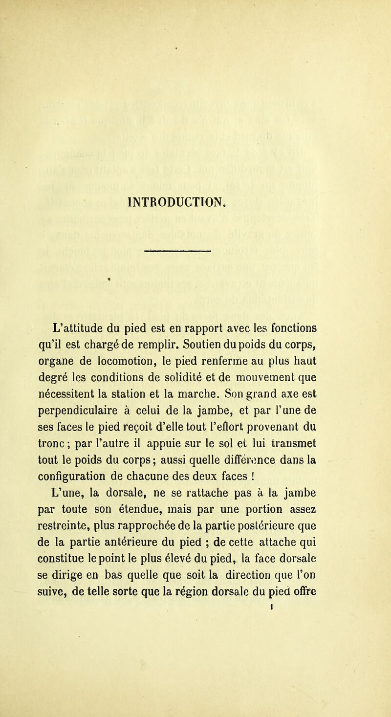 INTRODUCTION. L’attitude du pied est en rapport avec les fonctions qu’il est chargé de remplir. Soutien du poids du corps, organe de locomotion, le pied renferme au plus haut degré les conditions de solidité et de mouvement que nécessitent la station et la marche. Son grand axe est perpendiculaire à celui de la jambe, et par l’une de ses faces le pied reçoit d’elle tout l’efîort provenant du tronc ; par l’autre il appuie sur le sol et lui transmet tout le poids du corps; aussi quelle différence dans la configuration de chacune des deux faces ! L’une, la dorsale, ne se rattache pas à la jambe par toute son étendue, mais par une portion assez restreinte, plus rapprochée de la partie postérieure que de la partie antérieure du pied ; de cette attache qui constitue le point le plus élevé du pied, la face dorsale se dirige en bas quelle que soit la direction que l’on suive, de telle sorte que la région dorsale du pied offre