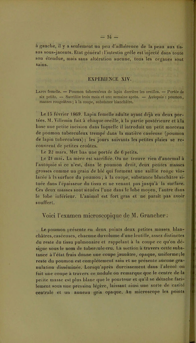 à ffauiîlie, il y a seulement un peu d’adhérence de la peau aux tis- sus sous-jacents. Etat j^énéral ; l’intestin grêle est injecté dans toute son étendue, mais sans altération aucune, tous les organes sont sains. EXPERIENCE XIV. Lapin femelle. — Poumon tuberculeux de lapin derrière les oreilles. — Portée de six petits. — SaoriQée trois mois et une semaine après. — Autopsie : poumon, masses rougeâtres ; à la coupe, substance blanchâtre. Le 15 février 1869, Lapin femelle adulte ayant déjà eu deux por- tées. M. Villemin fait à chaque oreille, à la partie postérieure et à la base une petite incision dans laquelle il introduit un petit morceau de poumon tuberculeux trempé dans la matière caséeuse (poumon de lapin tuberculeux) ; les jours suivants les petites plaies se re- couvrent de petites croûtes. I.e 22 mars. Met bas une portée de 6 petits. Le 21 mai. La mère est sacrifiée. On ne trouve rien d’anormal à l’autopsie si ce n’est, dans le poumon droit, deux petites masses grosses comme un grain de blé qui forment une saillie rouge vio- lacée à la surface du poumon; à la coupe, substance blanchâtre si- tuée dans l’épaisseur du tissu et ne venant pas jusqu’à la surface. Ces deux masses sont situées l’une dans le lobe moyen, l’autre dans le lobe inférieur. L’animal est fort gras et ne paraît pas avoir souffert. Voici l’examen microscopique de M. Grancher; Le poumon jirésente eu deux points deux petites masses blan- châtres,caséeuses, chacune duvolume d’une lentille, assez distinctes du reste du tissu pulmonaire et rappelant à la coupe ce qu’on dé- signe sous le nom de tubercule cru. La section à travers celte subs- tance à l’étal frais donne une coupe jaunâtre, opaque, uniforme;le reste du poumon est complètement sain et ne présente aucune gra- nulation disséminée. Lorsqu’après durcissement dans l’alcool on fait une coupe à travers ce nodule on remarque que le centre de la |)eiite masse est plus blanc que le pourtour et qu’il se détache faci-^ lement sous une pression légère, laissant ainsi une sorte de cavité centrale et un anneau gris opaque. Au microseope les points