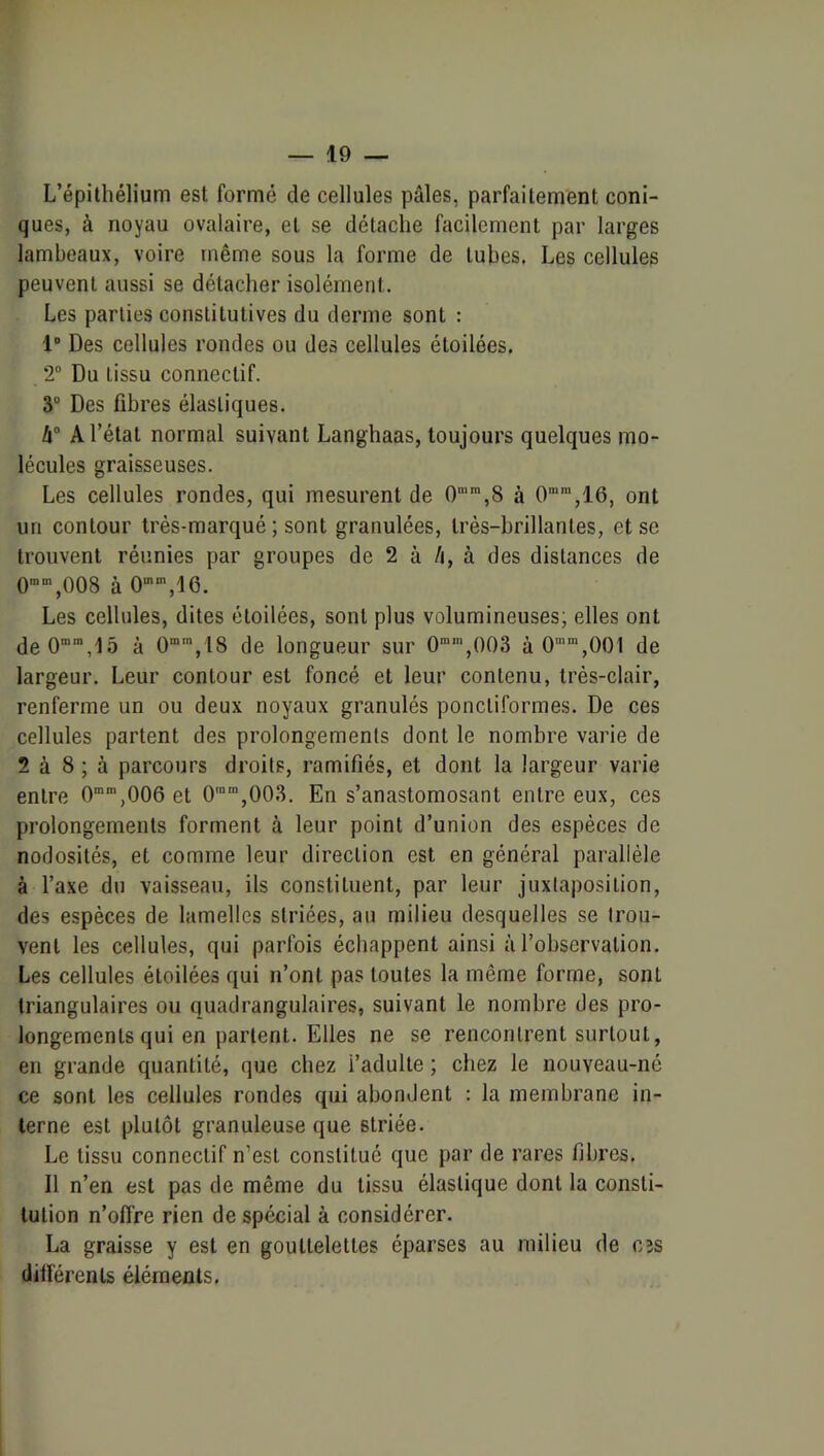 L’épithélium est formé de cellules pâles, parfaitement coni- ques, à noyau ovalaire, et se détache facilement par larges lambeaux, voire même sous la forme de tubes. Les cellules peuvent aussi se détacher isolément. Les parties constitutives du derme sont : 1 Des cellules rondes ou des cellules étoilées. 2” Du tissu connectif. 3” Des fibres élastiques. A l’état normal suivant Langhaas, toujours quelques mo- lécules graisseuses. Les cellules rondes, qui mesurent de 0’™,8 à ont un contour très-marqué ; sont granulées, très-brillantes, et se trouvent réunies par groupes de 2 à /j, à des distances de 0’“’,008 à Les cellules, dites étoilées, sont plus volumineuses, elles ont de0“®,15 à 0,18 de longueur sur 0“‘,003 à 0”“,001 de largeur. Leur contour est foncé et leur contenu, trés-clair, renferme un ou deux noyaux granulés poncliformes. De ces cellules partent des prolongements dont le nombre varie de 2 à 8 ; à parcours droits, ramifiés, et dont la largeur varie entre O”,006 et 0'“,003. En s’anastomosant entre eux, ces prolongements forment à leur point d’union des espèces de nodosités, et comme leur direction est en général parallèle à l’axe du vaisseau, ils constituent, par leur juxtaposition, des espèces de lamelles striées, au milieu desquelles se trou- vent les cellules, qui parfois échappent ainsi à l’observation. Les cellules étoilées qui n’ont pas toutes la même forme, sont triangulaires ou quadrangulaires, suivant le nombre des pro- longements qui en parlent. Elles ne se rencontrent surtout, en grande quantité, que chez l’adulte ; chez le nouveau-né ce sont les cellules rondes qui abondent : la membrane in- terne est plutôt granuleuse que striée. Le tissu connectif n’est constitué que par de rares fibres. Il n’en est pas de même du tissu élastique dont la consti- tution n’offre rien de spécial à considérer. La graisse y est en gouttelettes éparses au milieu de cîs différents éléments.