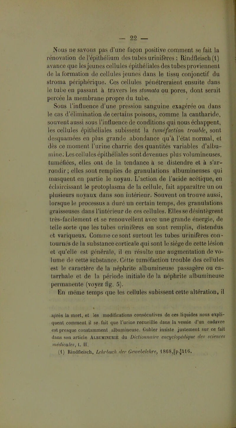 Nous ne savons pas d’une façon positive comment se fait la rénovation de l’épithélium des tubes urinifères : Uindfleisch (1) avance que les jeunes cellules épithéliales des tubes proviennent de la formation de cellules jeunes dans le tissu conjonctif du stroma périphérique. Ces cellules pénétreraient ensuite dans le tube en passant à travers les stomata ou pores, dont serait percée la membrane propre du tube. Sous l’influence d’une pression sanguine exagérée ou dans le cas d’élimination de certains poisons, comme la cantharide, souvent aussi sous l’influence de conditions qui nous échappent, les cellules épithéliales subissent la tuméfaction trouble, sont desquamées en plus grande abondance qu’à l’état normal, et dès ce moment l’urine charrie des quantités variables d’albu- mine. Les cellules épithéliales sont devenues plus volumineuses, tuméfiées, elles ont de la tendance à se distendre et à s’ar- rondir ; elles sont remplies de granulations albumineuses qui masquent en partie le noyau. L’action de l’acide acétique, en éclaircissant le protoplasma de la cellule, fait apparaitre un ou plusieurs noyaux dans son intérieur. Souvent on trouve aussi, lorsque le processus a duré un certain temps, des granulations graisseuses dans l’intérieur de ces cellules. Elles se désintègrent très-facilement et se renouvellent avec une grande énergie, de telle sorte que les tubes urinifères en sont remplis, distendus et variqueux. Comme ce sont surtout les tubes urinifères con- tournés de la substance corticale qui sont le siège de cette lésion et qu’elle est générale, il en résulte une augmentation de vo- lume de cette substance. Cette tuméfaction trouble des cellules est le caractère de la néphrite albumineuse passagère ou ca- tarrhale et de la période initiale de la néphrite albumineuse permanente (voyez fig. 5). En même temps que les cellules subissent celte altération, il après la mort, et les modifications consécutives de ces liquides nous expli- quent comment il se fait que l’urine recueillie dans la vessie d’un cadavre est presque constamment albumineuse. Gubler insiste justement sur ce fait dans son article Albuminurie du Dictionnaire encyclopédique ries sciences médicales, t. II. (!) Rindlleisch, Lehrlmch der Gewebelehre, •1868,{p.|416.