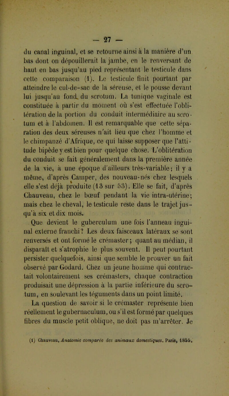 ' - 27 — du canal inguinal, et se retourne ainsi à la manière d’un bas dont on dépouillerait la jambe, en le renversant de haut en bas jusqu’au pied représentant le testicule dans cette comparaison (1). Le testicule finit pourtant pai* atteindre le cul-de-sac de la séreuse, et le pousse devant lui jusqu’au fond du scrotum. La tunique vaginale est constituée à partir du moment où s’est effectuée l’obli- tération de la portion du conduit intermédiaire au scro- tum et à l’abdomen. Il est remarquable que cette sépa- ration des deux séreuses n’ait lieu que chez l’homme et le chimpanzé d’Afrique, ce qui laisse supposer ({lie l’atti- tude bipède y est bien pour quelque chose. L’oblitération du conduit se fait généralement dans la première année de la vie, à une époque d’ailleurs très-variable ; il y a même, d’après Camper, des nouveau-nés chez lesquels elle s’est déjà produite (13 sur 53). Elle se fait, d’après Chauveau, chez le bœuf pendant la vie intra-utérine; mais chez le cheval, le testicule reste dans le trajet jus- qu’à six et dix mois. Que devient le guberculum une fois l’anneau ingui- nal externe franchi? Les deux faisceaux latéraux se sont renversés et ont formé le erémaster ; quant au médian, il disparaît et s’atrophie le plus souvent. Il peut pourtant persister quelquefois, ainsi que semble le prouver un fait observé par Godard. Chez un jeune homme qui contrac- tait volontairement ses crémasters, chaque contraction produisait une dépression à la partie inférieure du scro- tum, en soulevant les téguments dans un point limité. La question de savoir si le erémaster représente bien réellement le gubernaculum, ou s’il est formé par quelques fibres du muscle petit oblique, ne doit pas m’arrêter. Je (1) Chauveau, Anatomie comparée des animaux domestiques. Paris, 1855.