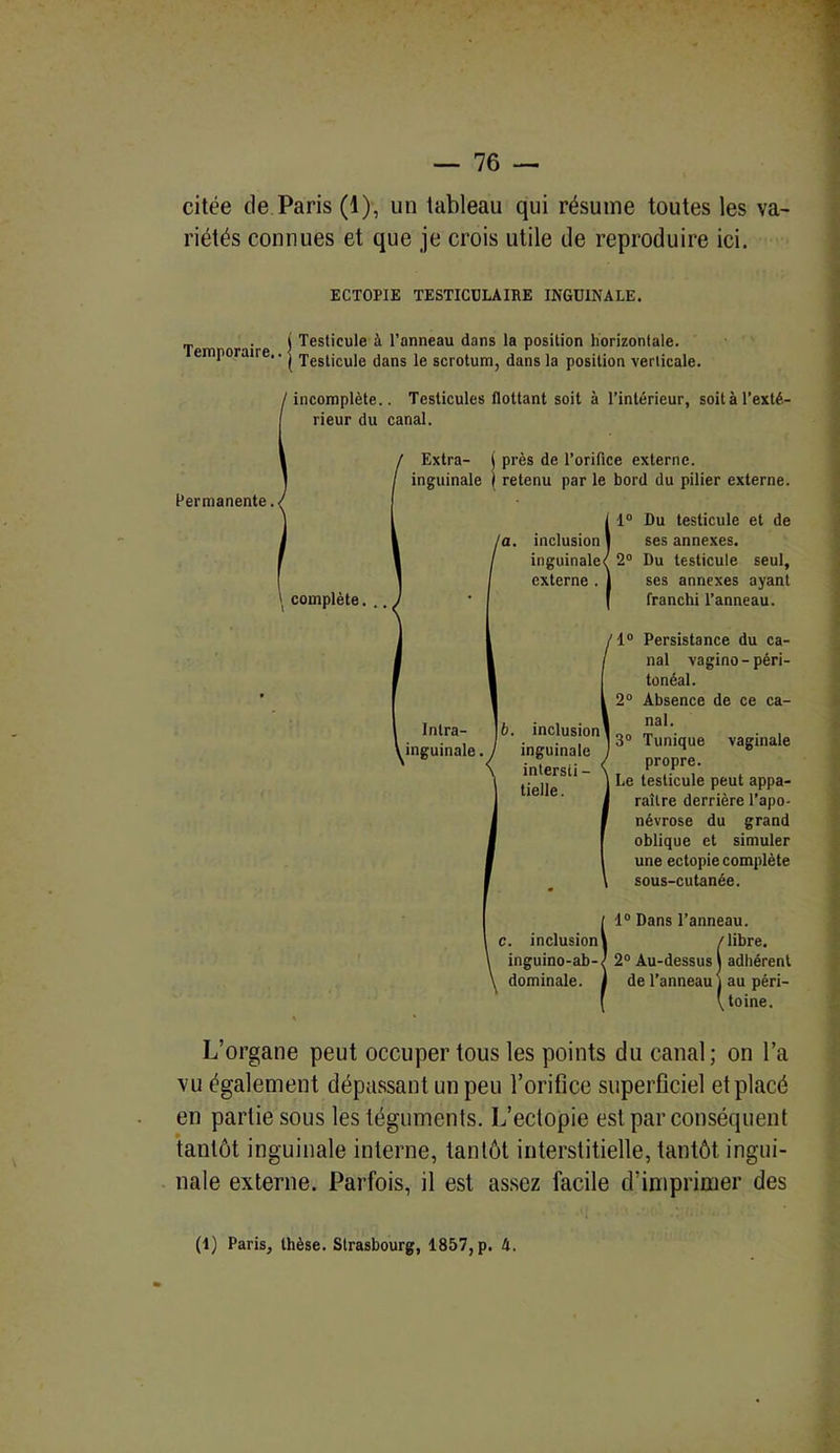 citée de Paris (1), un tableau qui résume toutes les va- riétés connues et que je crois utile de reproduire ici. L’organe peut occuper tous les points du canal; on l’a vu également dépassant un peu l’orifice superficiel et placé en partie sous les téguments. L’ectopie est par conséquent tantôt inguinale interne, tantôt interstitielle, tantôt ingui- nale externe. Parfois, il est assez facile d'imprimer des ECTOPIE TESTICULAIRE INGUINALE. Temporaire.. t Testicule à l’anneau dans la position horizontale. I Testicule dans le scrotum, dans la position verticale. incomplète.. Testicules flottant soit à l’intérieur, soit à l’exté- rieur du canal. Permanente. complète. .. 1° Persistance du ca- nal vagino-péri- tonéal. Intra- 6. inclusion inguinale./ inguinale 2° Absence de ce ca- nal. intersii - tielle. 3° Tunique vaginale propre. Le testicule peut appa- raître derrière l’apo- névrose du grand oblique et simuler une ectopie complète sous-cutanée. (1) Paris, thèse. Strasbourg, 1857, p. 4.