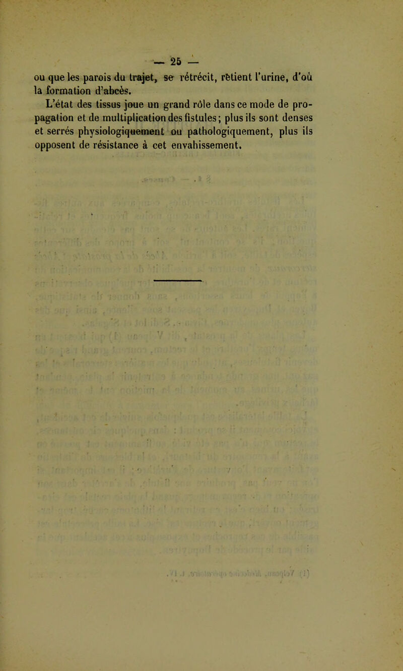 ou que les parois du trajet, se rétrécit, rètient Turine, d'où la formation d’abcès. L’état des tissus joue un grand rôle dans ce mode de pro- pagation et de multiplication des fistules; plus ils sont denses et serrés physiologiquement ou pathologiquement, plus ils opposent de résistance à cet envahissement.