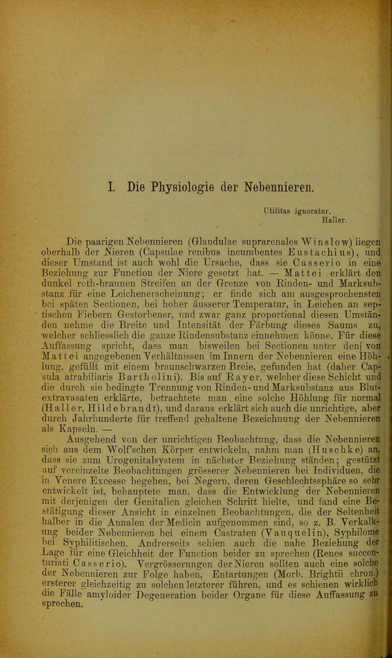 Utilitas ignoratur. Haller. Die paarigen Nebennieren (Glandulae suprarenales Winslow) liegen oberhalb der Nieren (Capsulae renibus incumbentes Eustachius), und dieser Umstand ist auch wohl die Ursache, dass sie Casserio in eine Beziehung zur Function der Niere gesetzt hat. — Mattei erklärt den dunkel roth-braunen Streifen an der Grenze von Rinden- und Marksub- stanz für eine Leichenerscheinung; er finde sich am ausgesprochensten bei späten Sectionen, bei hoher äusserer Temperatur, in Leichen an sep- tischen Fiebern Gestorbener, und zwar ganz proportional diesen Umstän- den nehme die Breite und Intensität der Färbung dieses Saums zu, welcher schliesslich die ganze Rindensubstanz einnehmen könne. Für diese Auffassung spricht, dass man bisweilen bei Sectionen unter denj von Matt ei angegebenen Verhältnissen im Innern der Nebennieren eine Höh- . lung, gefüllt mit einem braunschwarzen Breie, gefunden- hat (daher Cap- sula atrabiliaris Bartholini). Bis auf Ray er, welcher diese Schicht und die durch sie bedingte Trennung von Rinden-und Marksubstanz aus Blut- extravasaten erklärte, betrachtete man eine solche Höhlung für normal (Ha 11 er, Hi 1 d e br an dt), und daraus erklärt sich auch die unrichtige, aber durch Jahrhunderte für treffend gehaltene Bezeichnung der Nebennieren als Kapseln. — Ausgehend von der unrichtigen Beobachtung, dass die Nebennieren sich aus dem Wolf sehen Körper entwickeln, nahm man (Huschke) an, dass sie zum Urogenitalsystem in nächster Beziehung ständen; gestützt auf vereinzelte Beobachtungen grösserer Nebennieren bei Individuen, die in Venere Excesse begehen, bei Negern, deren Geschlechtssphäre so sehr entwickelt ist, behauptete man, dass die Entwicklung der Nebennieren mit derjenigen der Genitalien gleichen Schritt hielte, und fand eine Be- stätigung dieser Ansicht in einzelnen Beobachtungen, die der Seltenheit halber in die Annalen derMedicin aufgenommen sind, so z. B. Verkalk- ung beider Nebennieren bei einem Castraten (Vauquelin), Syphilome bei Syphilitischen. Andrerseits schien auch die nahe Beziehung der Lage für eine Gleichheit der Function beider zu sprechen (Renes succen- turiati Casserio). Vergrösserungen der Nieren sollten auch eine solche der Nebennieren zur Folge haben, Entartungen (Morb. Brightii chron.) ersterer gleichzeitig zu solchen letzterer führen, imd es schienen wirklich die Fälle amyloider Degeneration beider Organe für diese Auffassung zu sprechen.